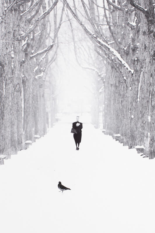 <span class="fnt-85">「静止した時間」Ⓒ NARAHARA IKKO ARCHIVES</span>