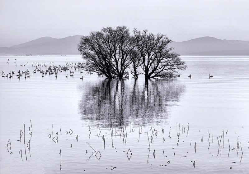 エプソンEW-M973A3Tでプリント（写真用紙クリスピア<高光沢>を使用。プリント後にEW-M973A3Tでスキャン）