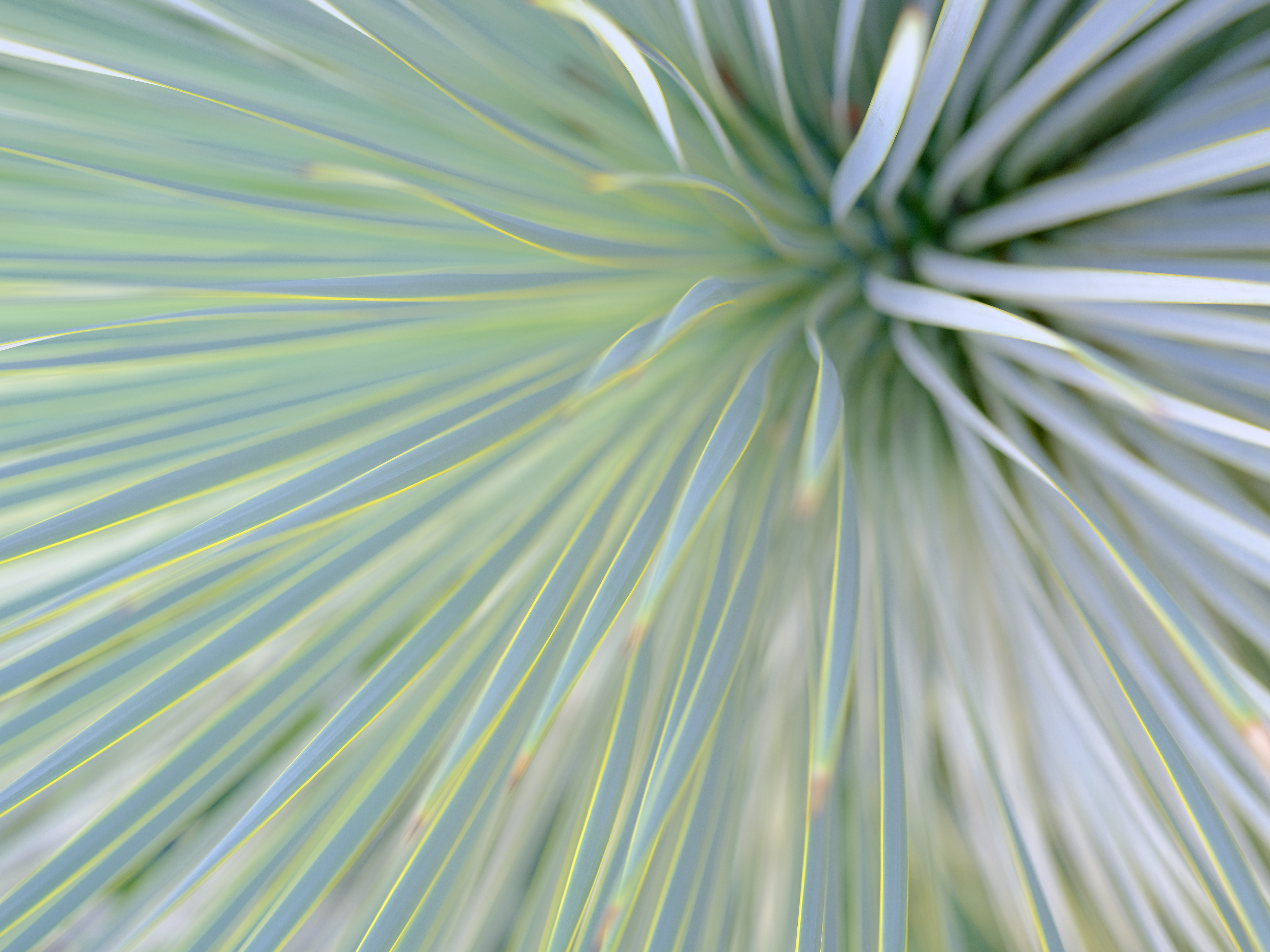 <span class="fnt-85">GFX 50Rだと少し神経質になる1/200秒を下回るシャッター速度のシーンだが、本機ではIBISのおかげで安心して撮影することが出来た。AWBのせいかベルビアの再現が50R世代と少し違うように見える。GF63mmの描写性能も素晴らしい。<br>GFX50S II / GF63mmF2.8 R WR / プログラムAE（F3.6・1/110秒・+1.3EV） / ISO 800 / フィルムシミュレーション：Velvia/ビビッド</span>