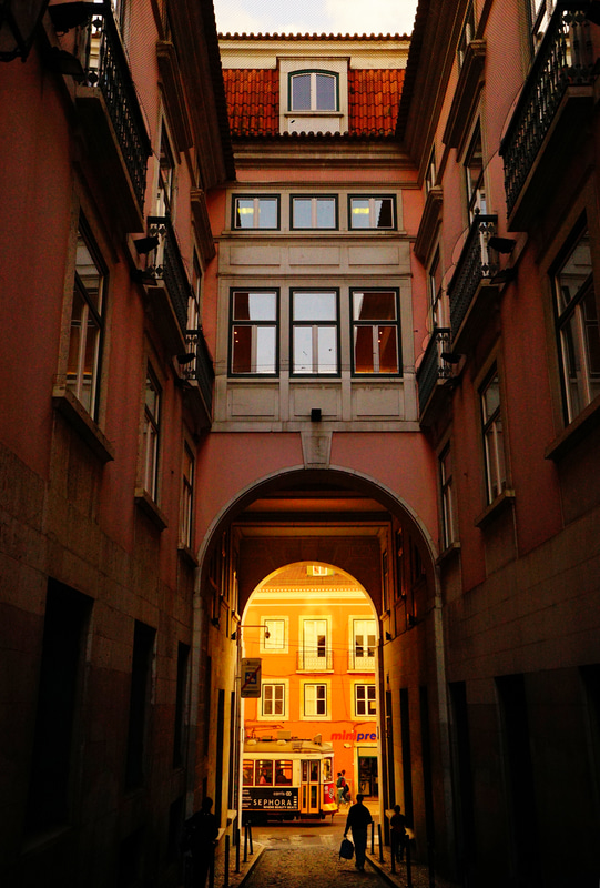 ソニーα7 II　Vario-Tessar T* FE 16-35mm F4 ZA OSS（34mm）　絞り優先オート（F4.5、 1/1,600秒）　ISO 800　WB:日陰　風景