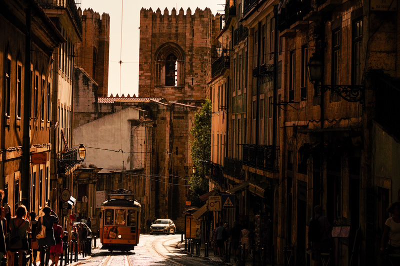 ソニーα7R IV　FE 100-400mm F4.5-5.6 GM OSS（105mm）　絞り優先オート（F8、1/8,000秒）　ISO 400　WB:日陰