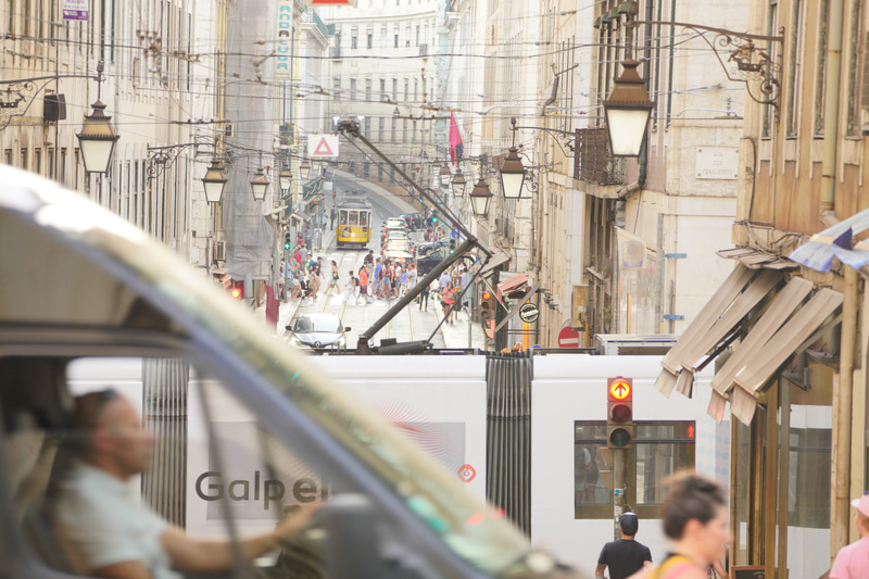 ソニーα7R IV　FE 100-400mm F4.5-5.6 GM OSS（185mm）　絞り優先オート（F5.6、1/100秒）　ISO 800　WB:日陰　風景