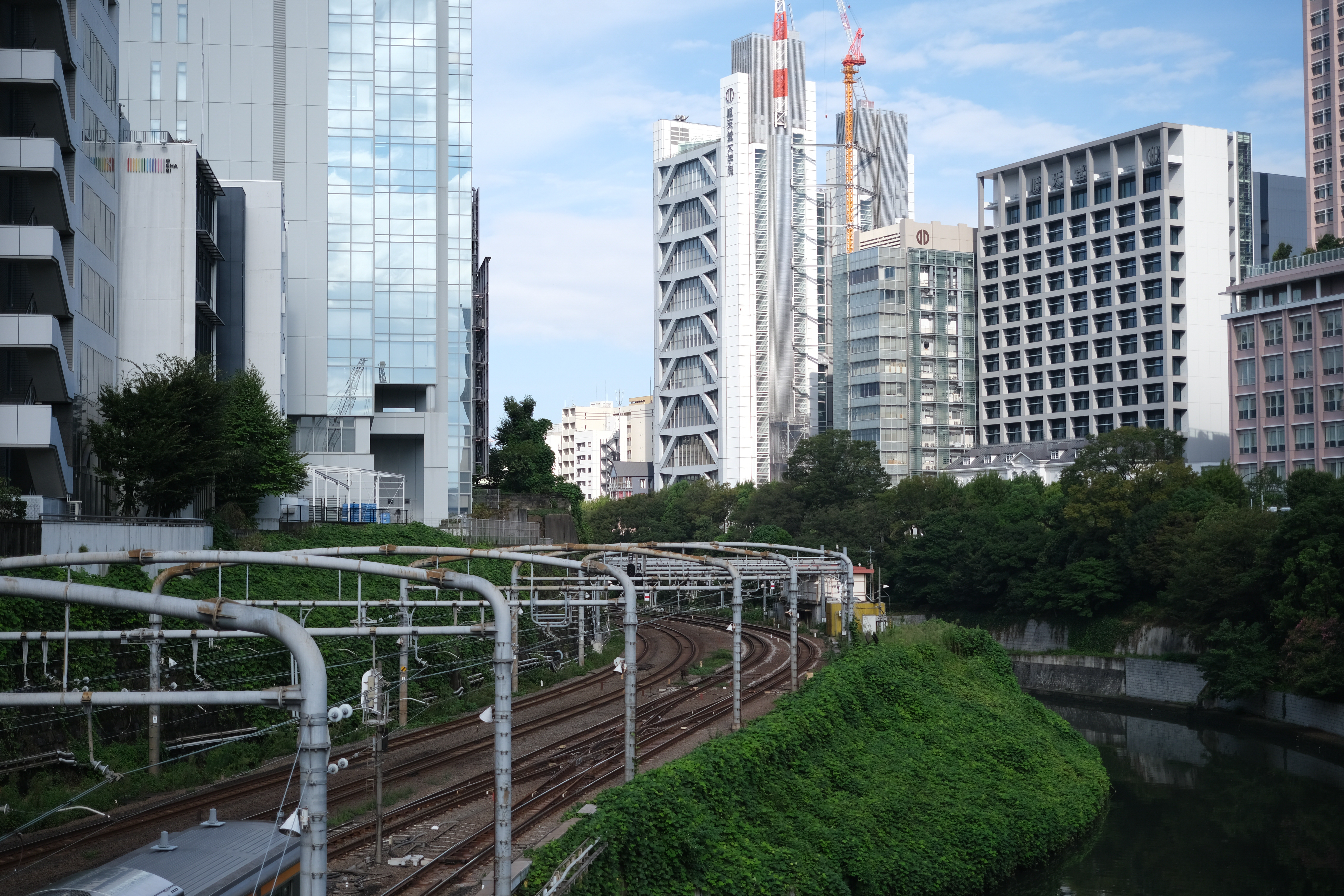 <span class="fnt-85">X-T4 / XF33mmF1.4 R LM WR / 絞り優先AE（F1.4・1/8,000秒・±0EV） / ISO 160 / Provia</span>