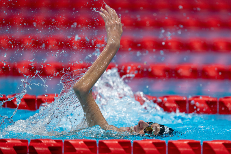 ©Bob Martin<br>α1　FE 600mm F4 GM OSS（F4・1/1,250秒）ISO 800