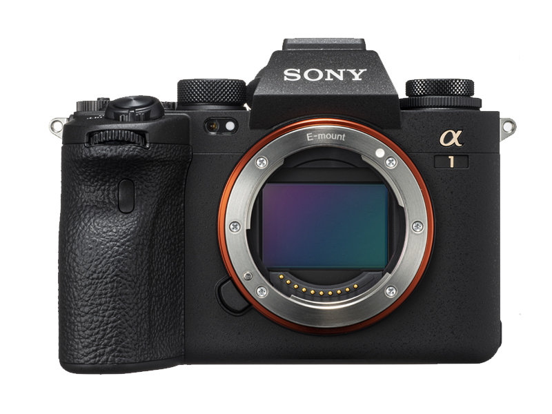歴代のαシリーズを使ってきた中井さんが、いまもっとも信頼を置いているのがα1。解像度、高感度、連写性能、AF性能など、総合的なバランスに優れていることが決め手