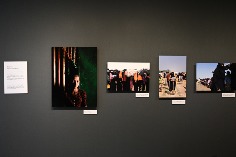 展示会場の様子。