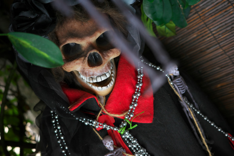 とある居酒屋の入り口の茂みに飾ってあったオブジェです。えらく暗い状態でしたが、手ブレ補正に救われています。最新カメラのありがたさですね。<br>RICOH GR IIIx　GR LENS 26.1mm F2.8（F2.8・1/20秒）ISO 800