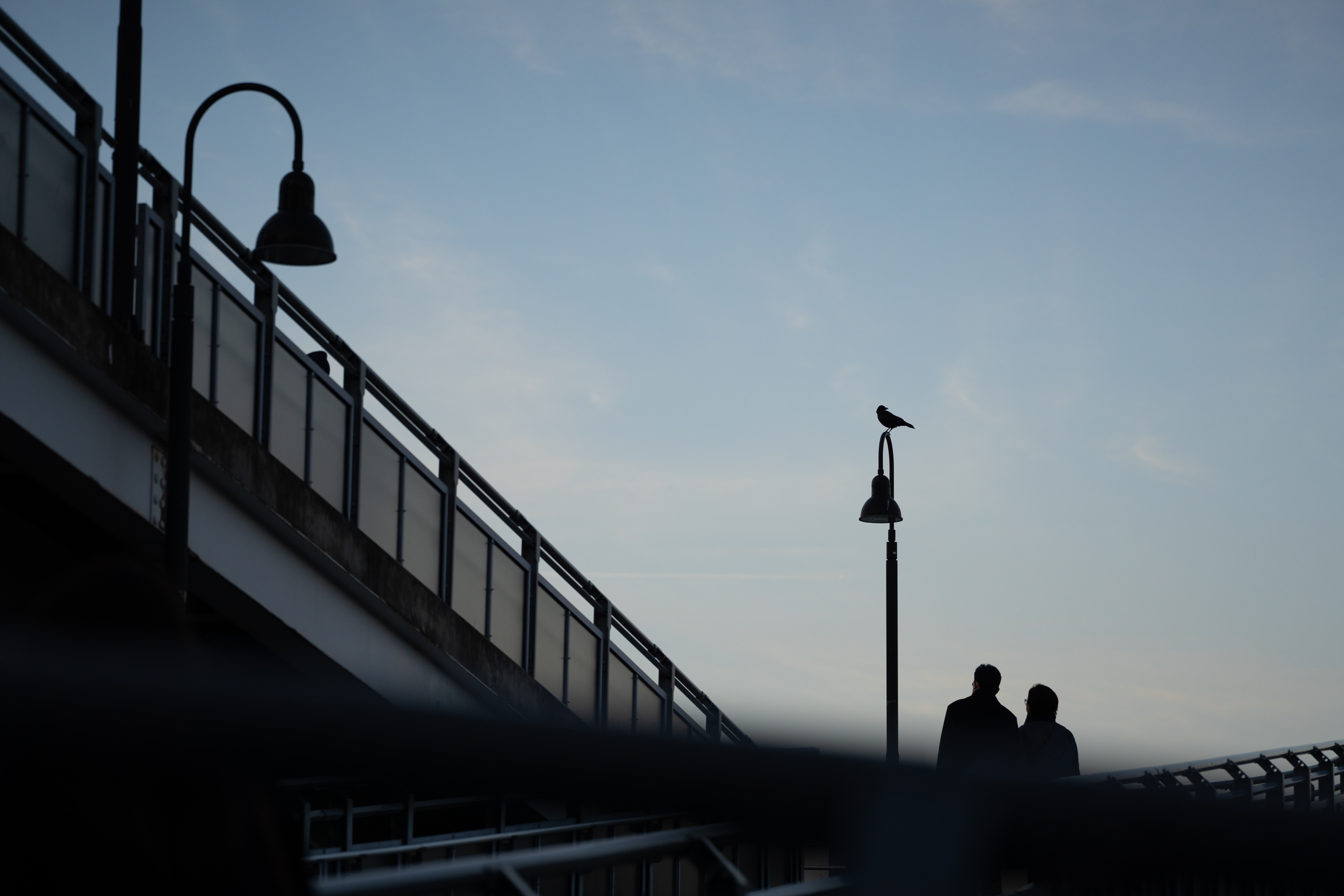 <span class="fnt-85">α7R IV / 105mm F2.8 DG DN MACRO / 絞り優先AE（F2.8・1/3000秒・±0EV）/ ISO 400</span>