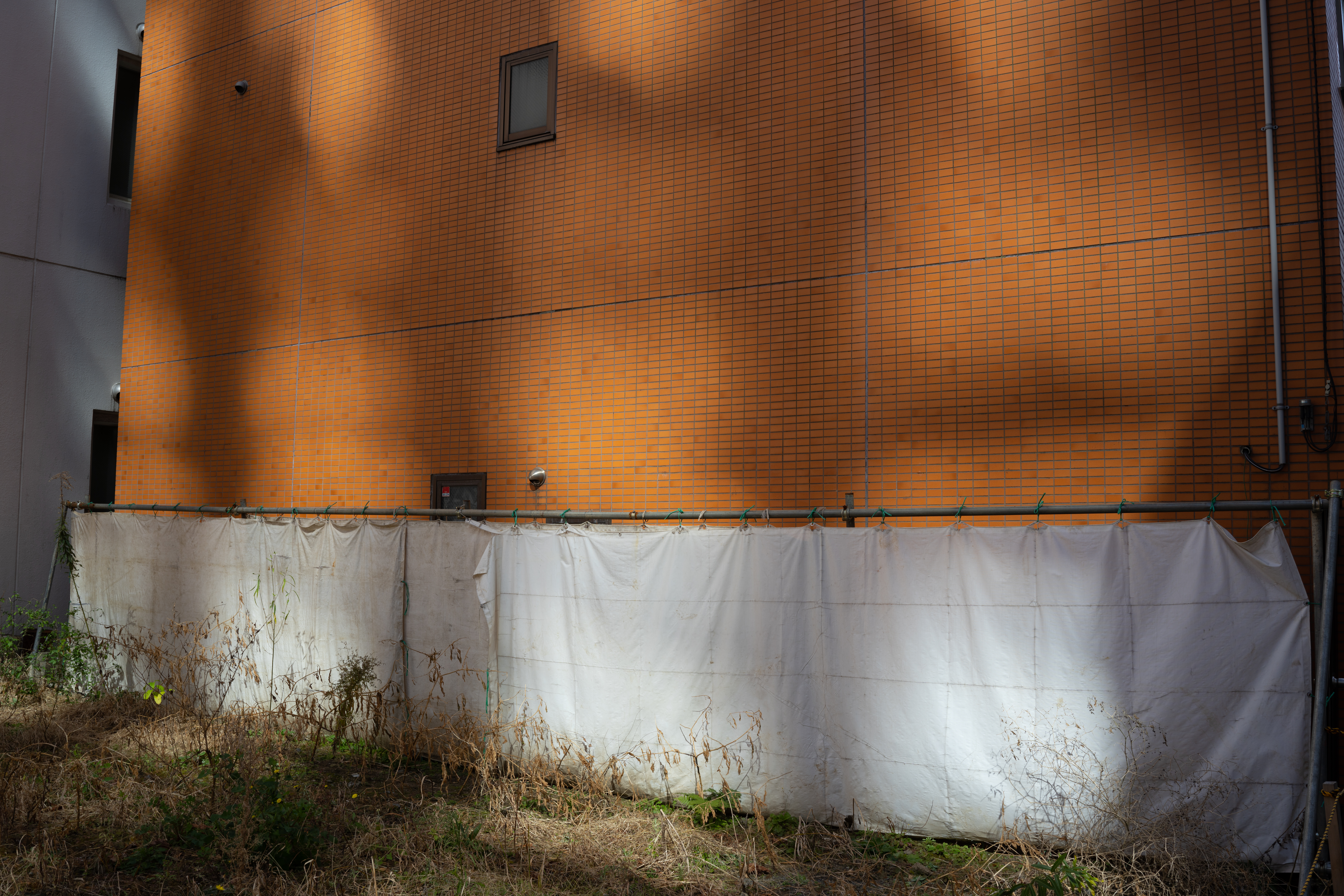 <span class="fnt-85">α7R IV / 35mm F2 DG DN / 絞り優先AE（F8・1/200秒・±0EV）/ ISO 100</span>