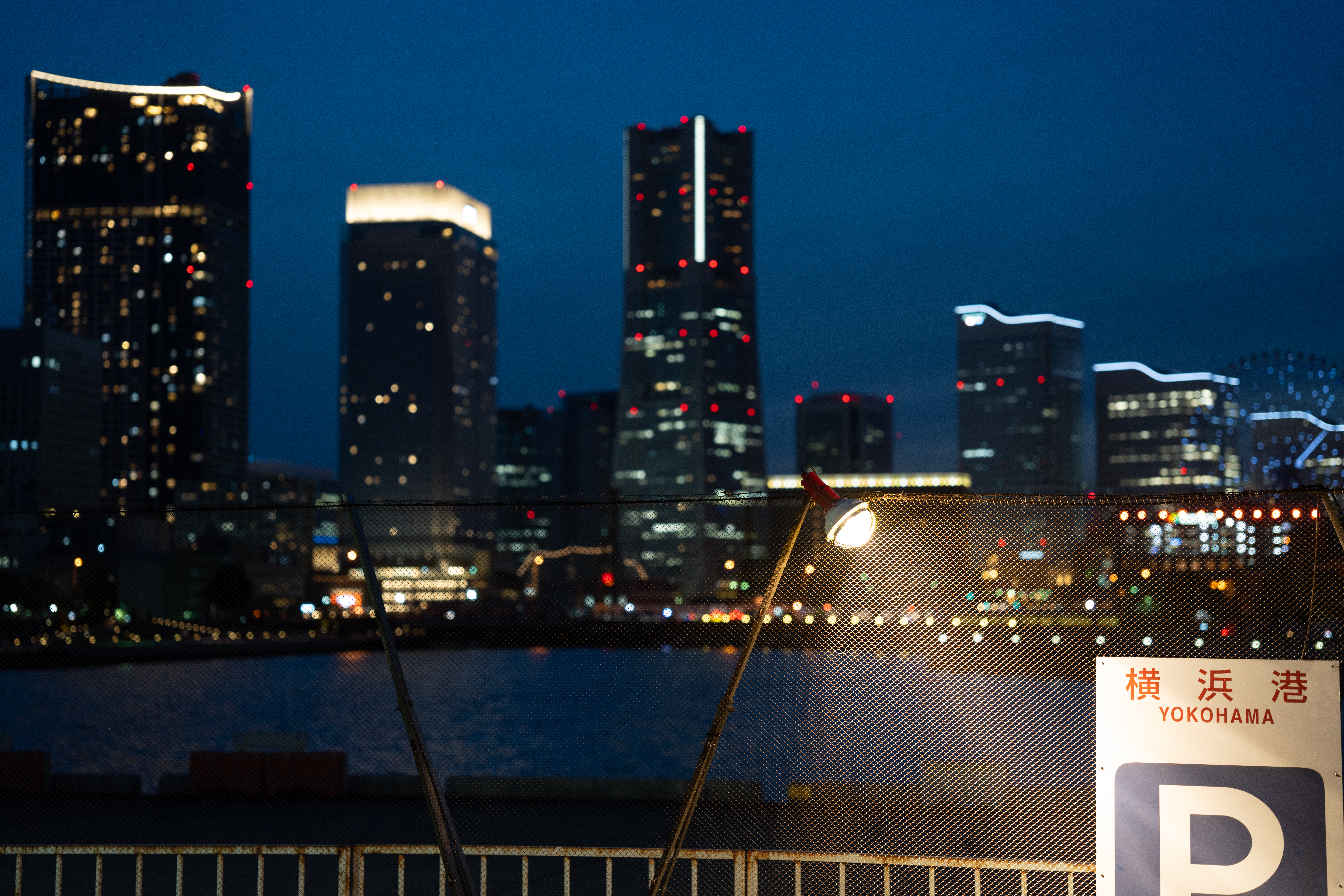 <span class="fnt-85">α7R IV / 65mm F2 DG DN/ 絞り優先AE（F2・1/30秒・+0.5EV）/ ISO 400</span>