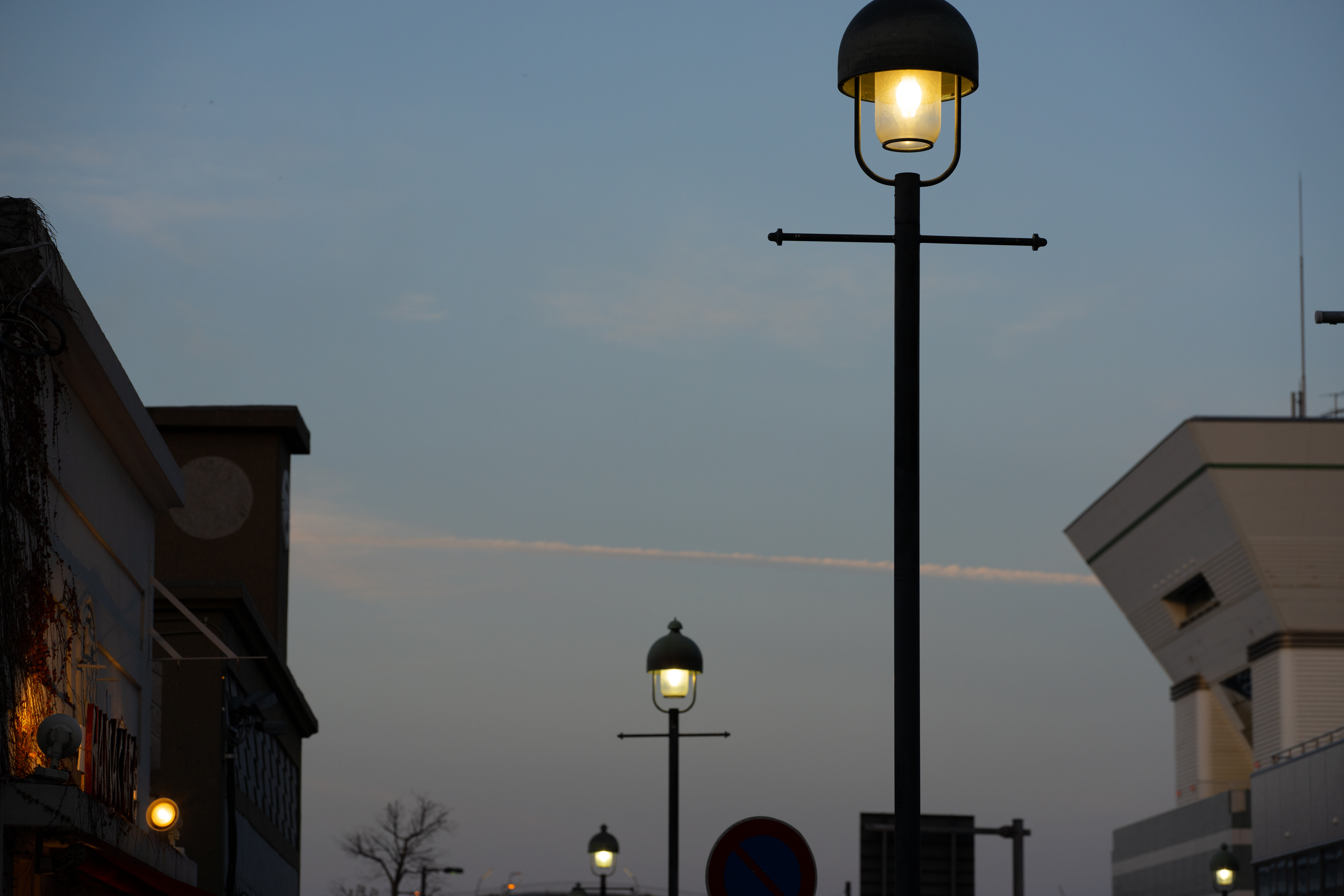 <span class="fnt-85">α7R IV / 105mm F2.8 DG DN MACRO / 絞り優先AE（F5.6・1/500秒・±0EV）/ ISO 400</span>