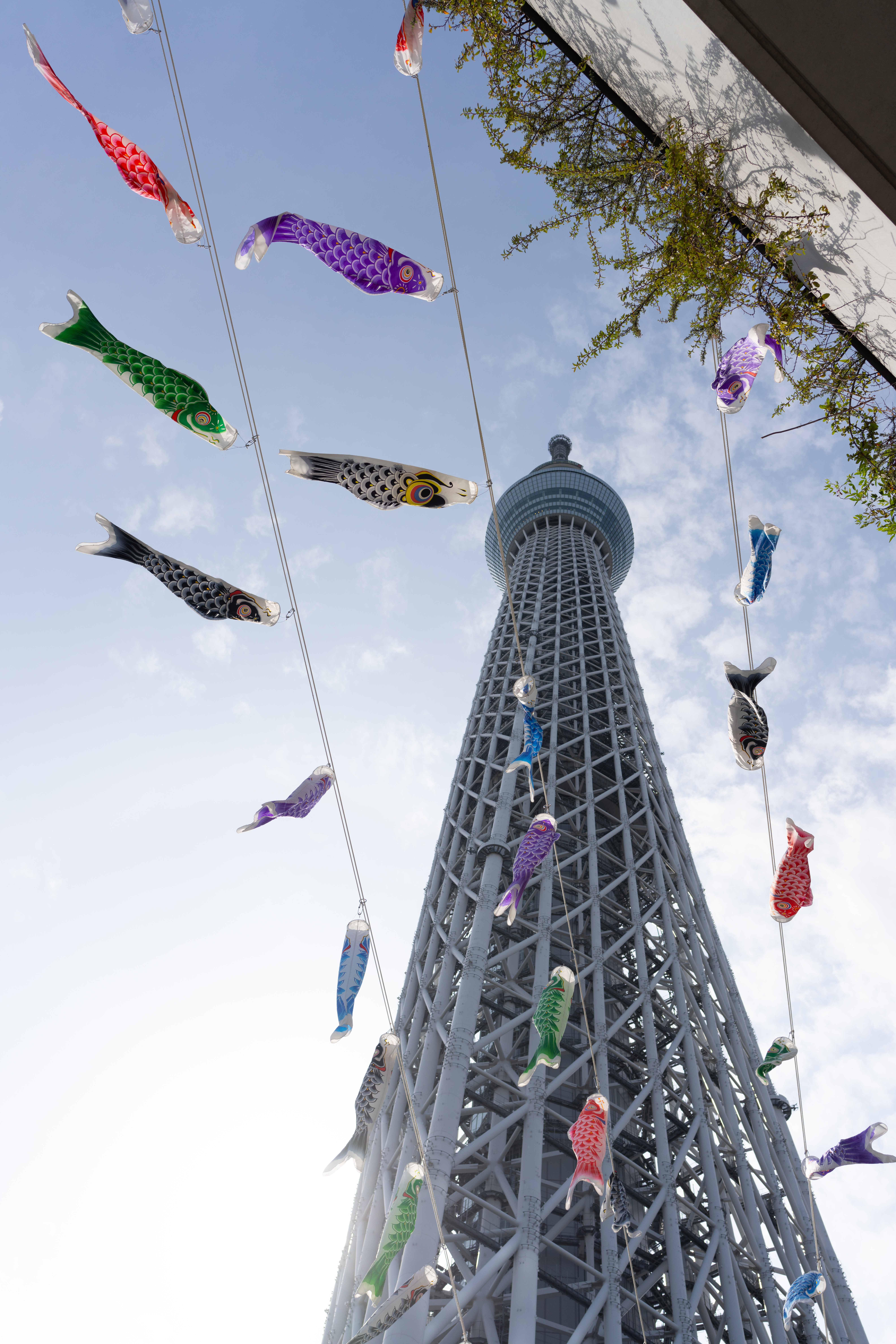 <span class="fnt-85">α7R IV / 24mm F3.5 DG DN / 絞り優先AE（F5.6・1/640秒・+0.8EV）/ ISO 100</span>