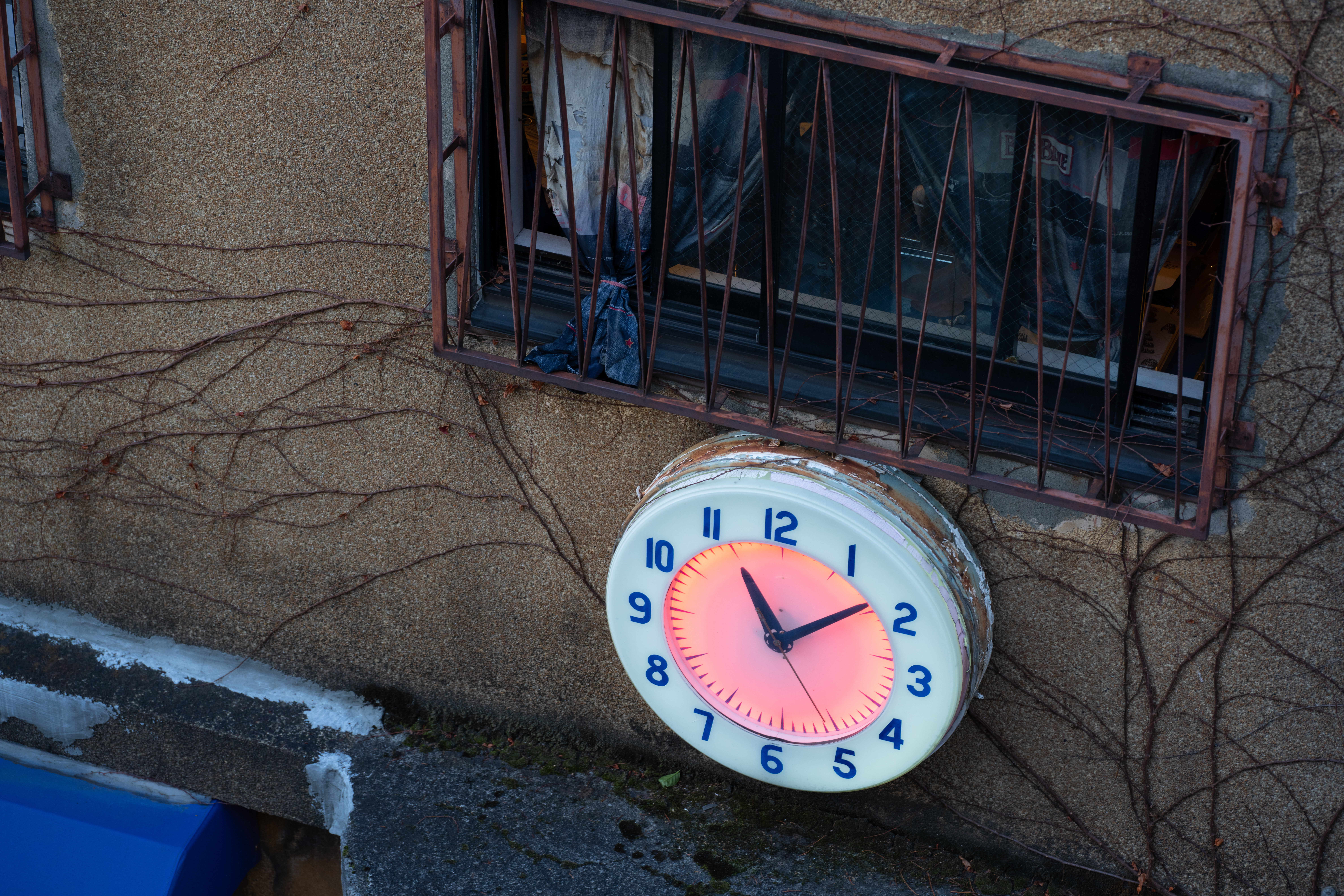 <span class="fnt-85">α7R IV / 105mm F2.8 DG DN MACRO / 絞り優先AE（F4.5・1/30秒・±0EV）/ ISO 400</span>