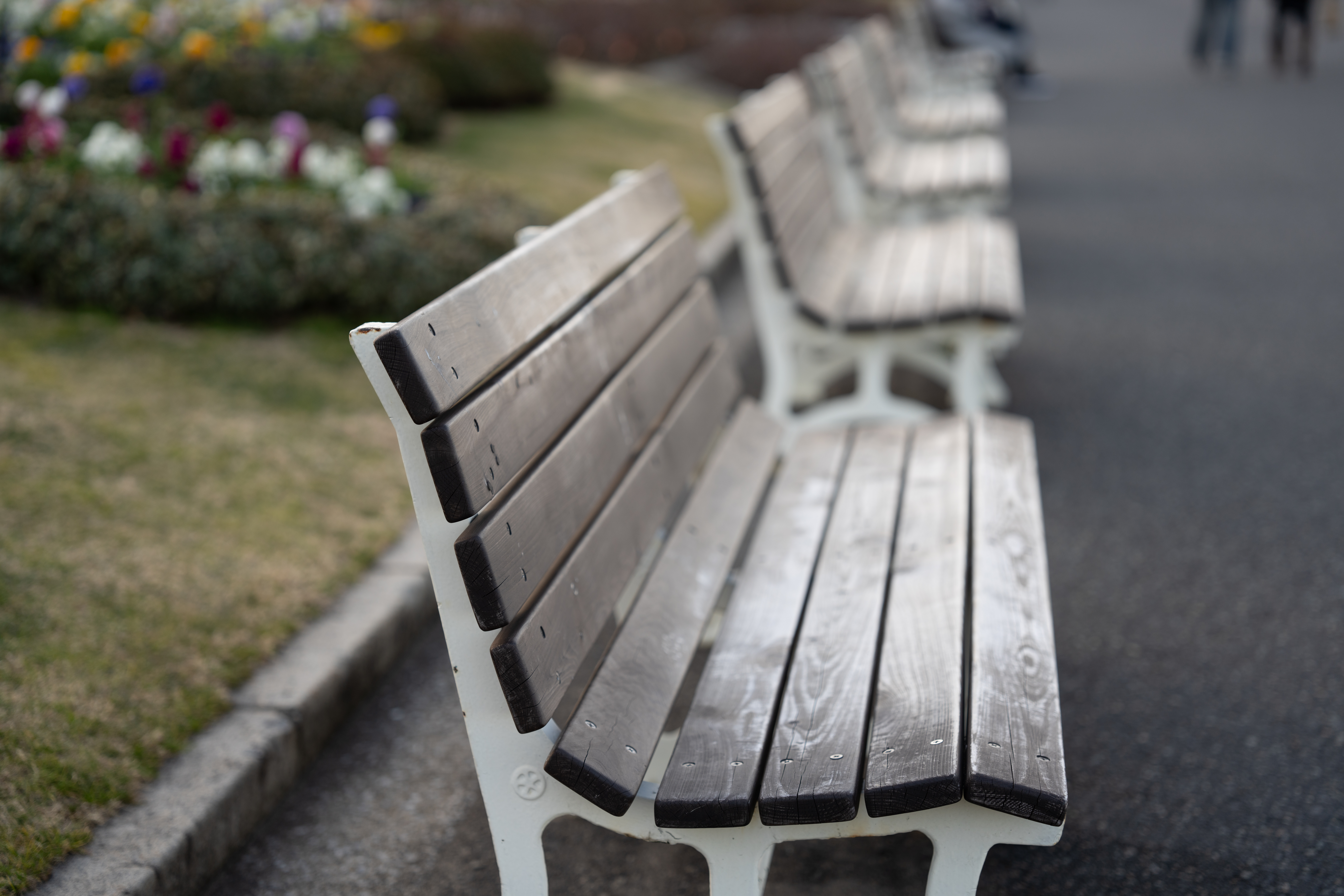 <span class="fnt-85">65mm F2 DG DN</span>