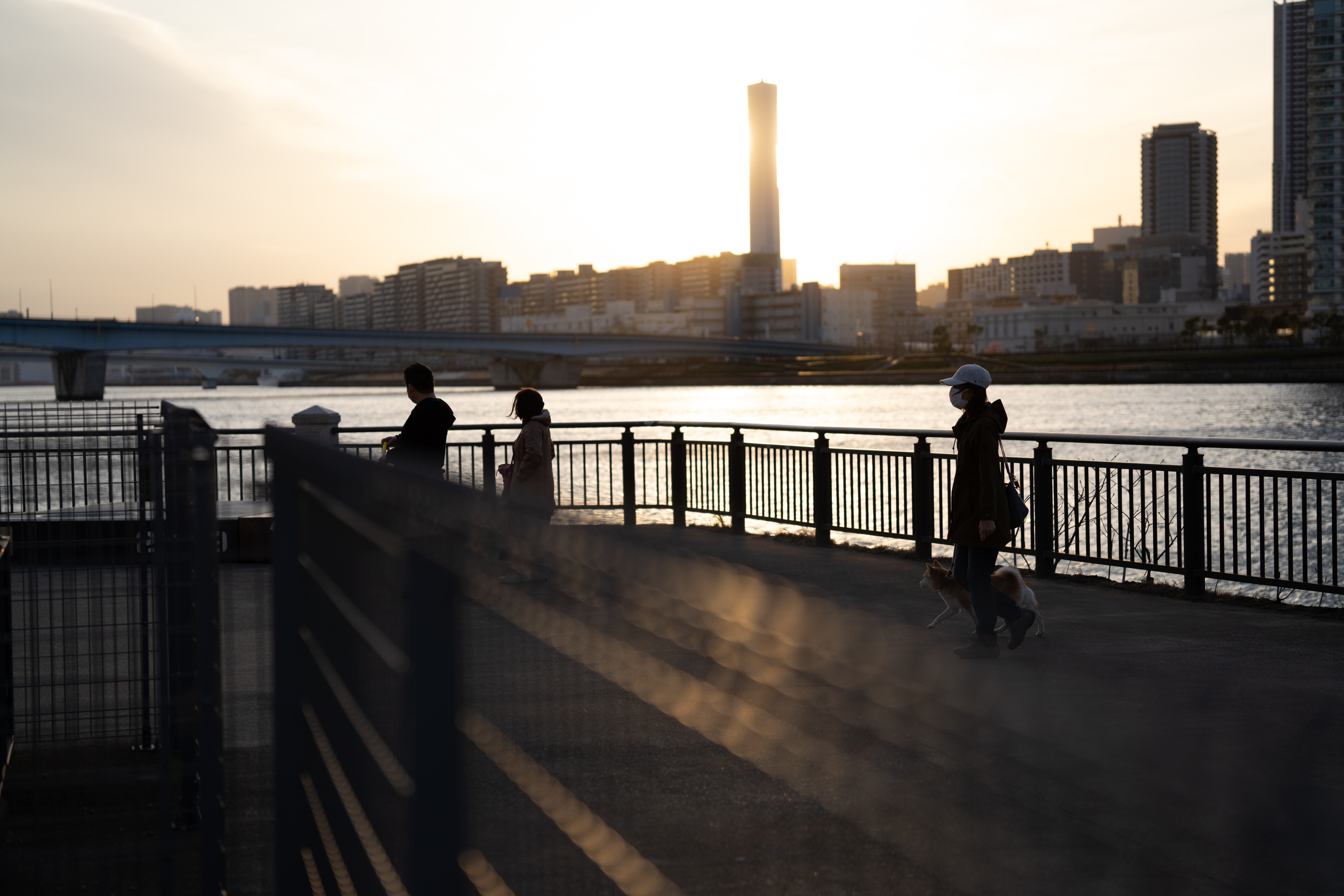 <span class="fnt-85">α7R IV / 65mm F2 DG DN / 絞り優先AE（F2・1/1,600秒・+0.5EV）/ ISO 100</span>