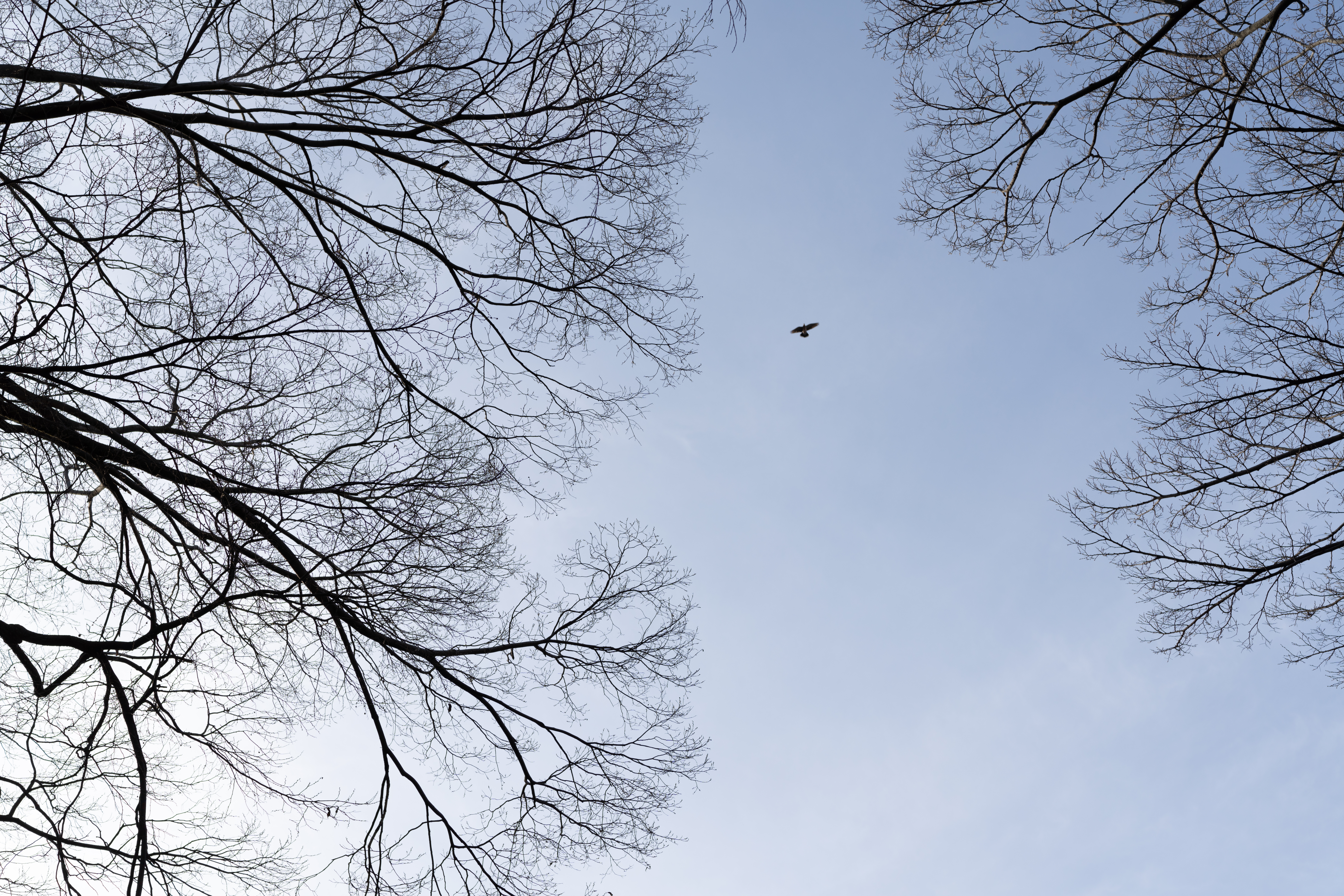 <span class="fnt-85">α7R IV / 45mm F2.8 DG DN / 絞り優先AE（F6.7・1/350秒・+0.7EV）/ ISO 100</span>