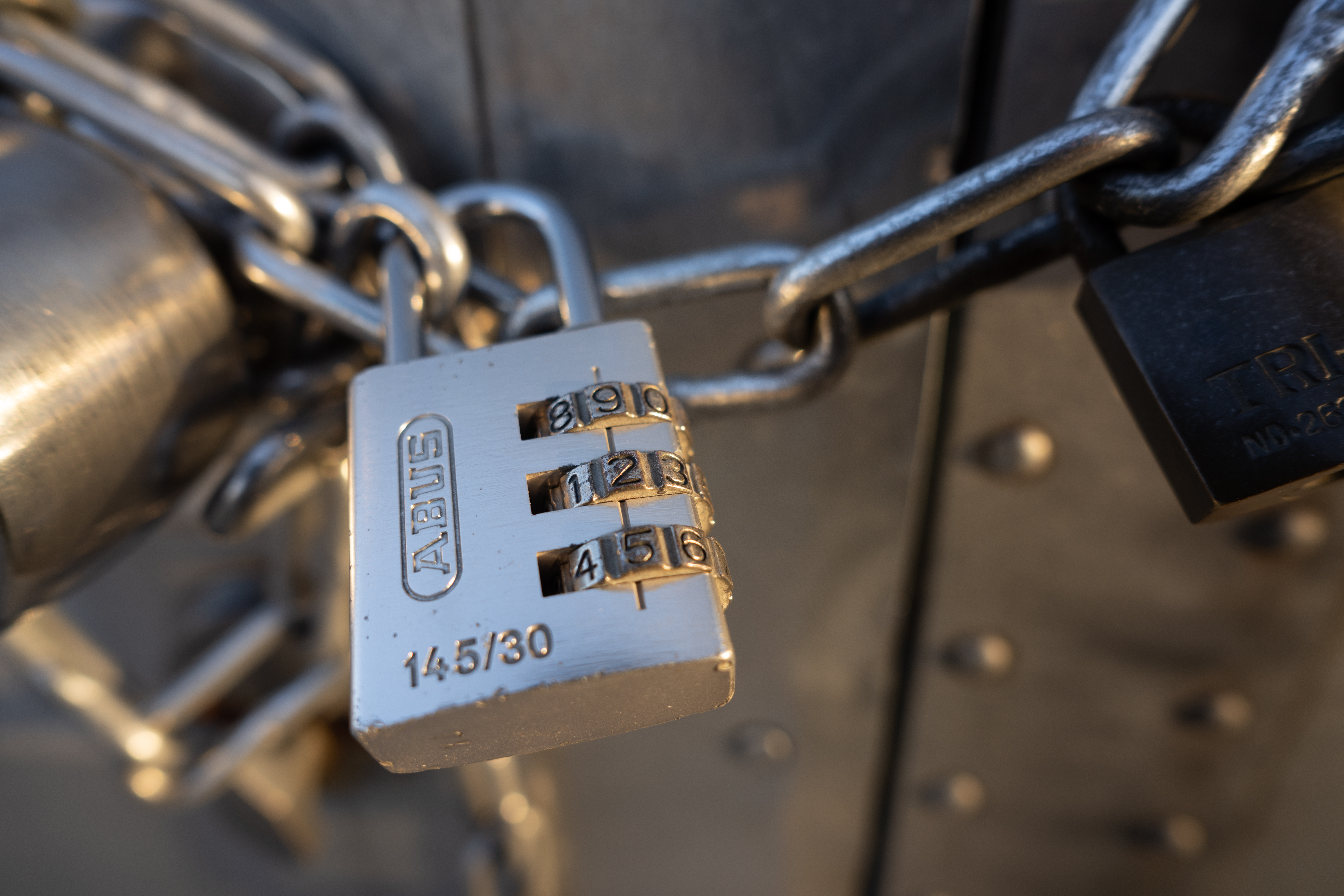 <span class="fnt-85">α7R IV / 24mm F3.5 DG DN / 絞り優先AE（F5.6・1/50秒・±0EV）/ ISO 100</span>