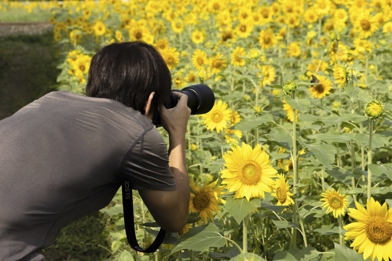 EOS R5／400mm／マニュアル露出（F8、1/1,600秒）／ISO 640／WB：オート