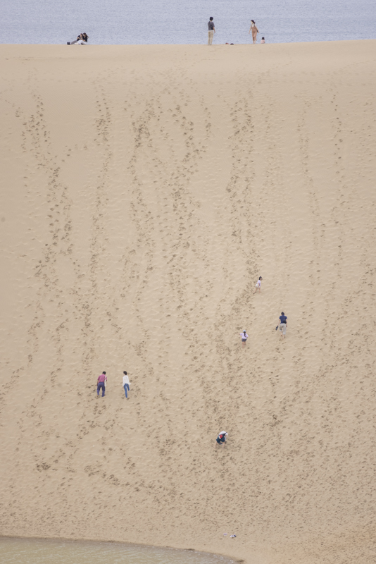 EOS R5／400mm／マニュアル露出（F8、1/400秒）／ISO 250／WB：オート