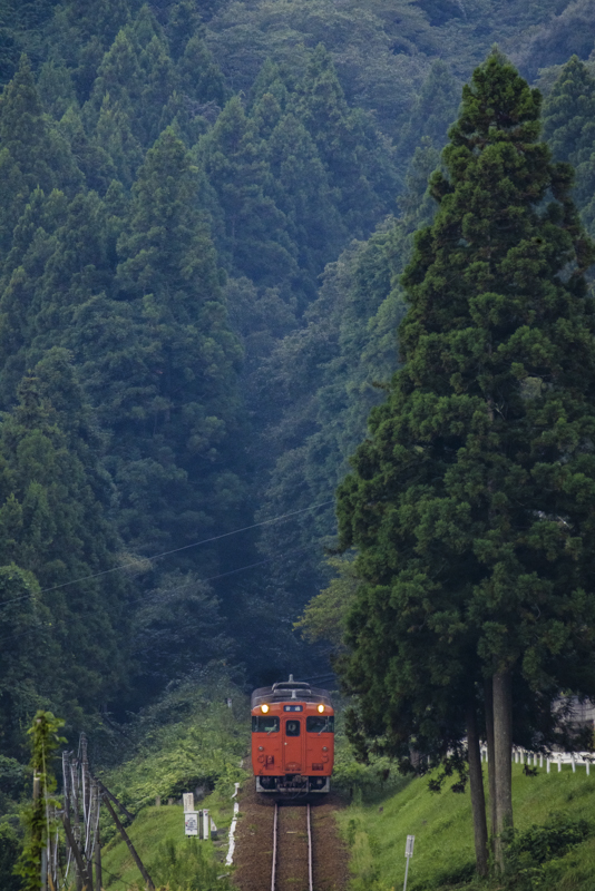 EOS R5／800mm（EXTENDER RF2x使用）／マニュアル露出（F16、1/250秒）／ISO 1600／WB：オート