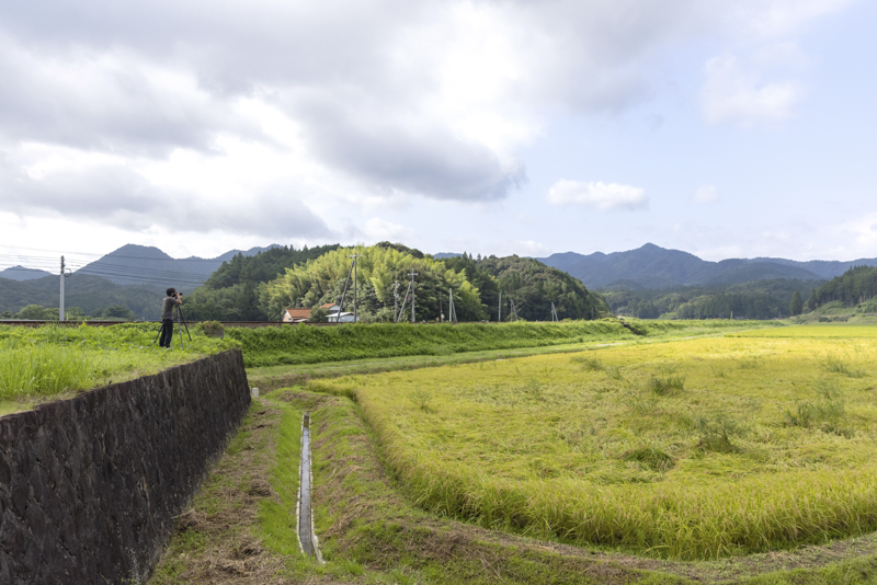 EOS R5／800mm（EXTENDER RF2x使用）／マニュアル露出（F16、1/250秒）／ISO 1600／WB：オート
