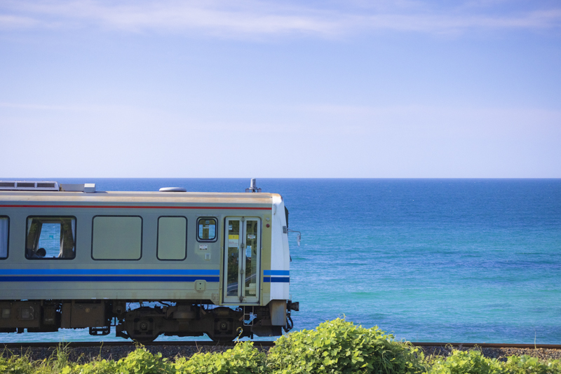 EOS R5／100mm／マニュアル露出（F5.6、1/4,000秒）／ISO 1600／WB：オート