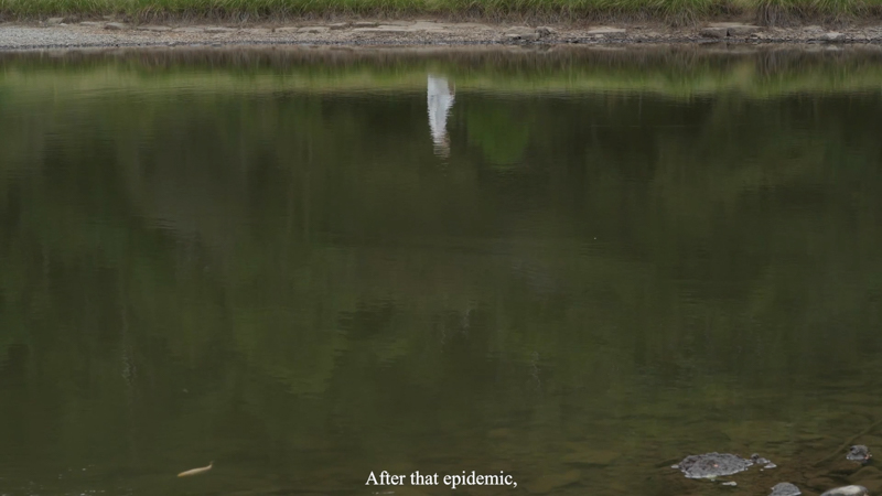 動画部門のグランプリに選ばれた、 REI KURODA氏（日本）の「運命回避」※動画作品の一部をキャプチャーしたもの