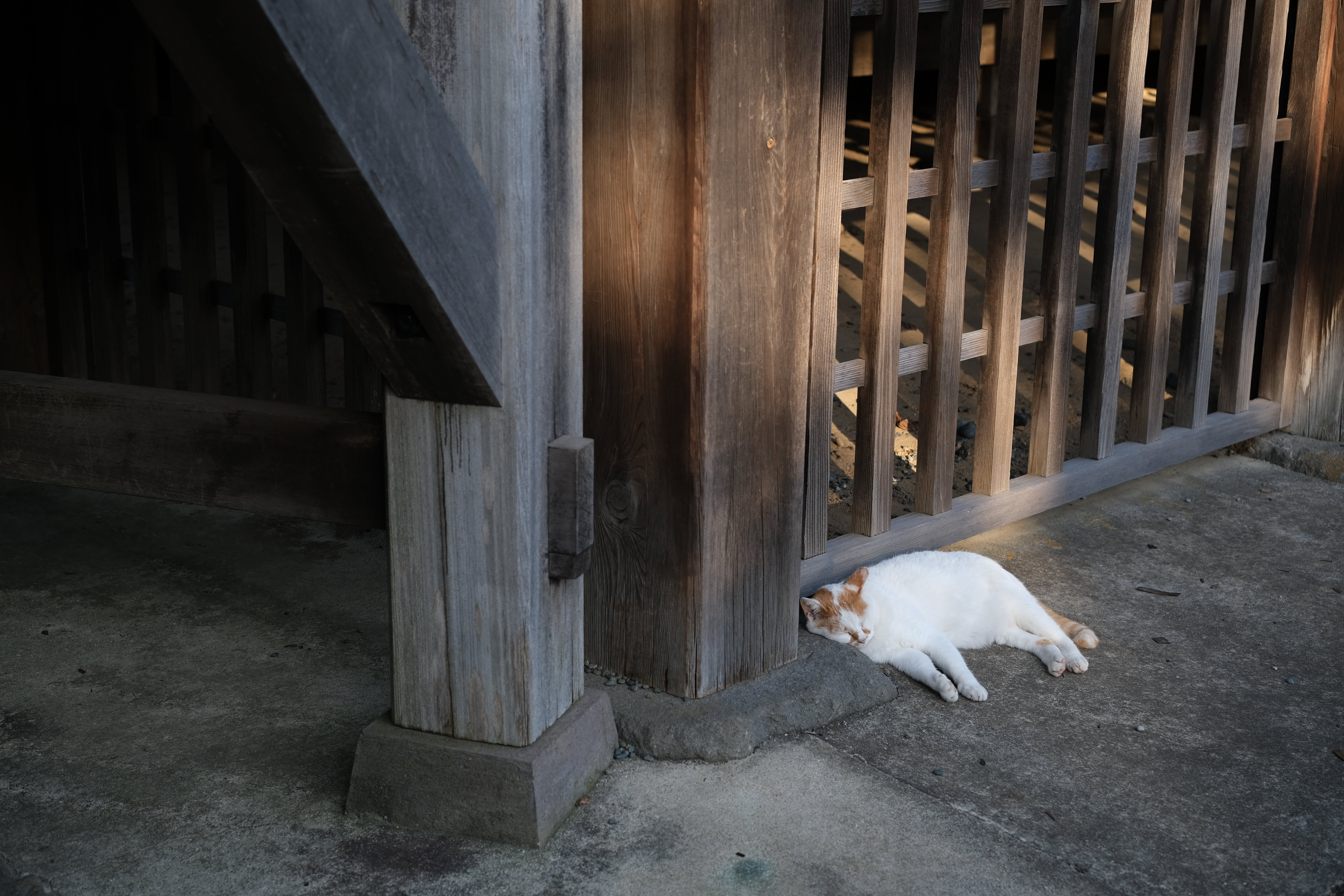 <span class="fnt-85">X-T4 / XF33mmF1.4R LM WR / 絞り優先AE（F2.8・1/500秒・-1.0EV） / ISO 160</span>