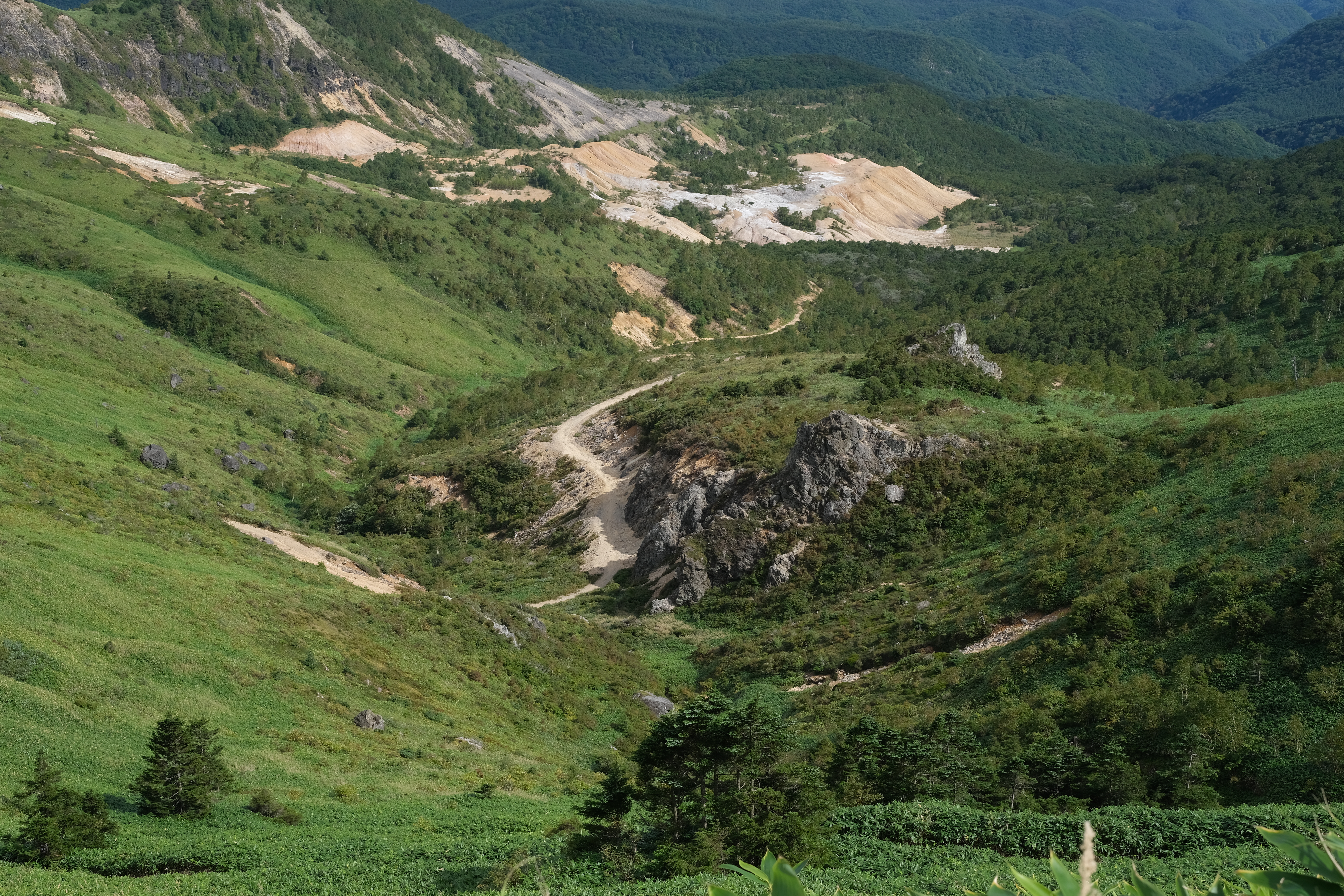 <span class="fnt-85">X-T4 / XF33mmF1.4R LM WR / 絞り優先AE（F8・1/300秒・-0.3EV） / ISO 160</span>