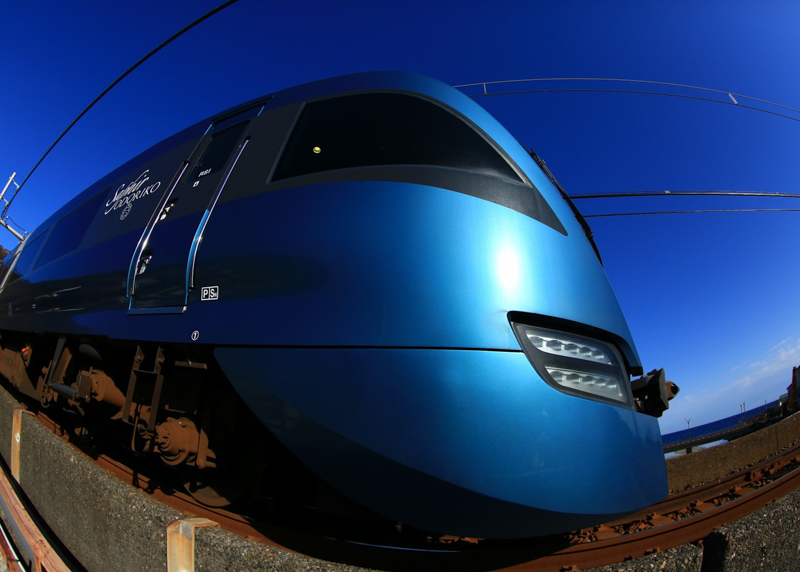 作品名：「新種で～す」　撮影：佐野哲朗さん