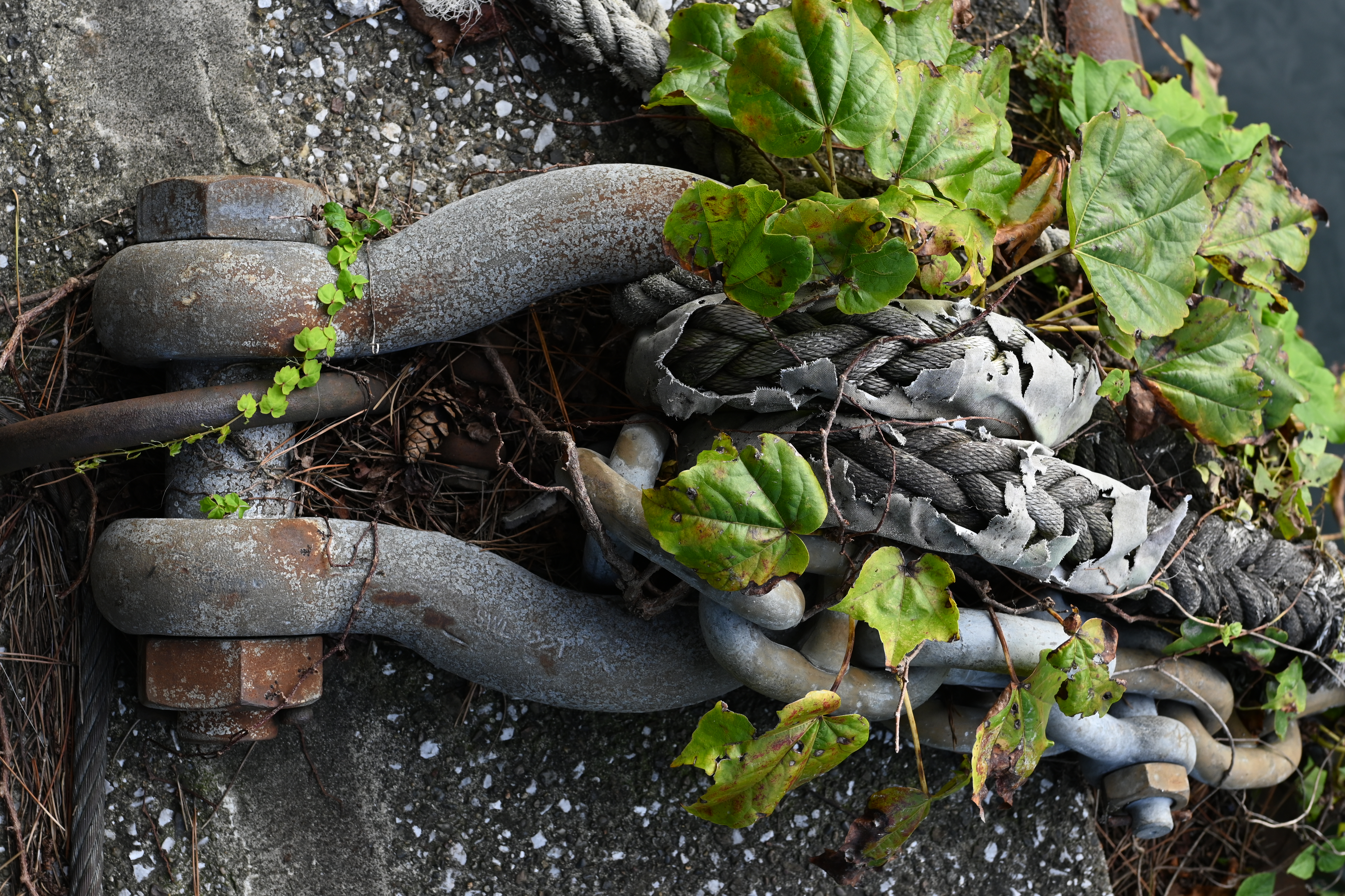 絞り込むと解像力が明確に高まるタイプ。 <br><span class="fnt-85">Z fc / NIKKOR Z 40mm f/2 / 絞り優先AE（F6.3・1/160秒・±0EV） / ISO 200</span>