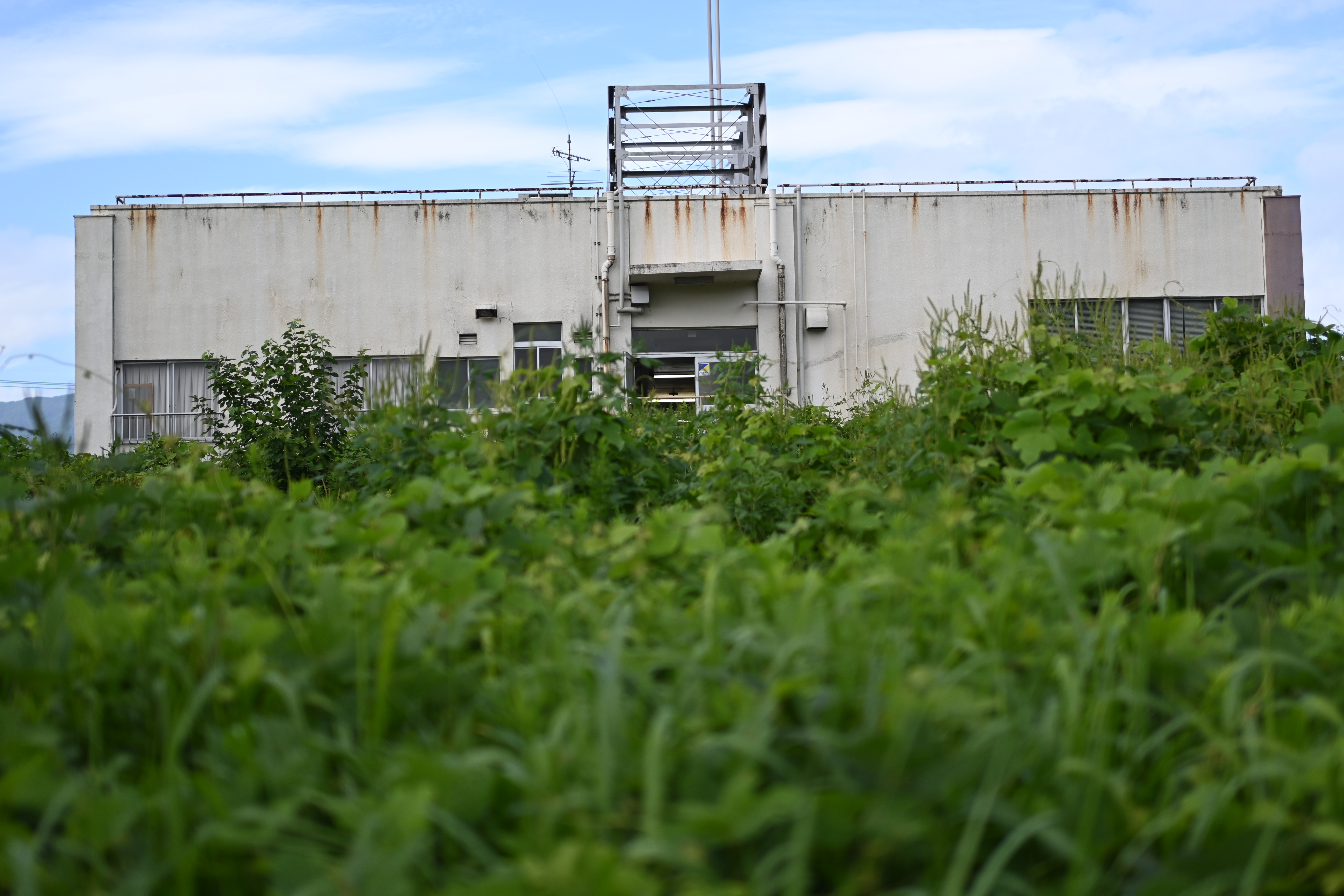 <span class="fnt-85">Z fc / NIKKOR Z 40mm f/2 / 絞り優先AE（F2.0・1/3,200秒・±0EV） / ISO 125</span>