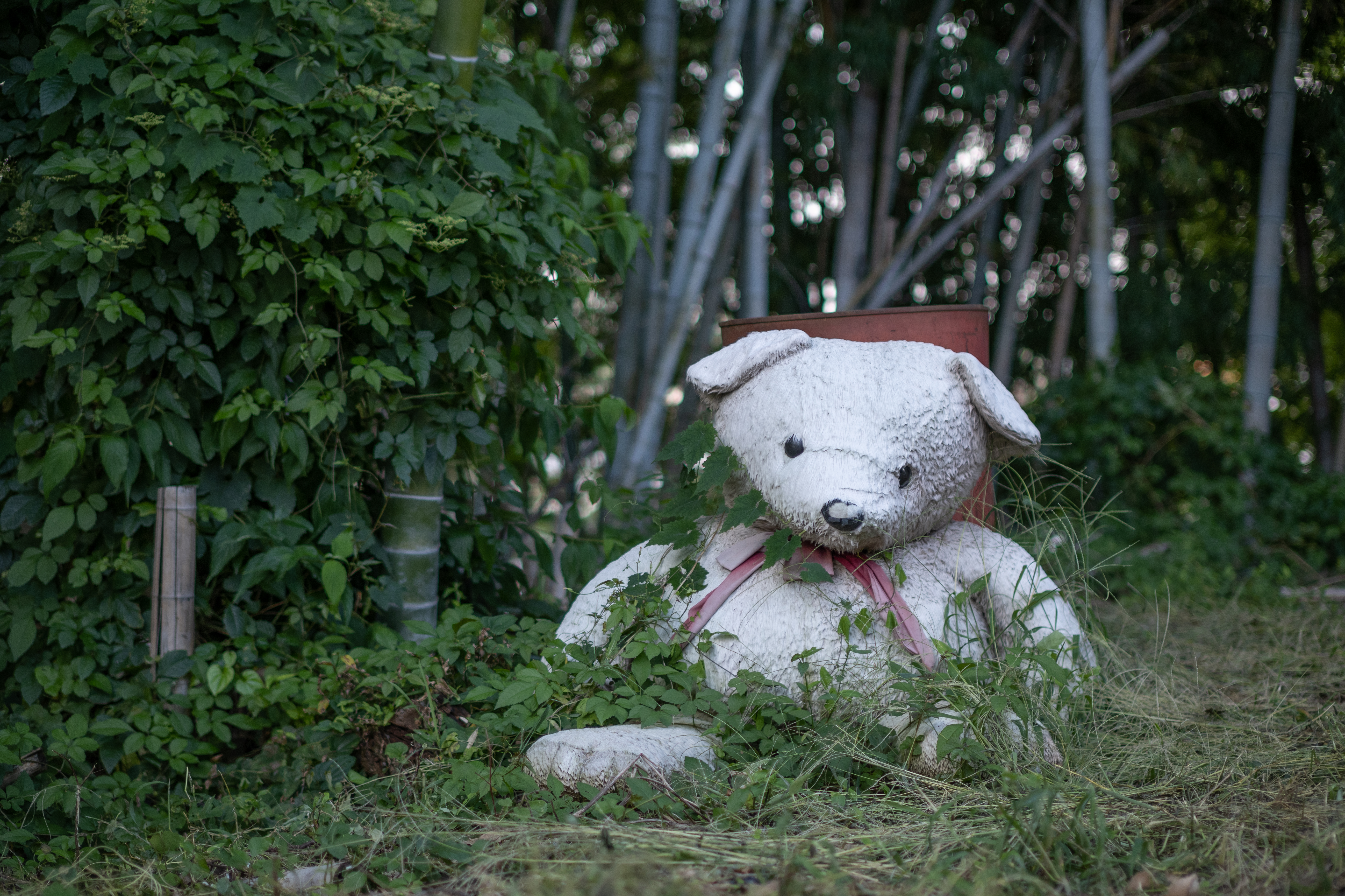 <span class="fnt-85">Z fc / 50mm f/1.2 C / 絞り優先AE（F1.2・1/2,000秒） / ISO 250</span>