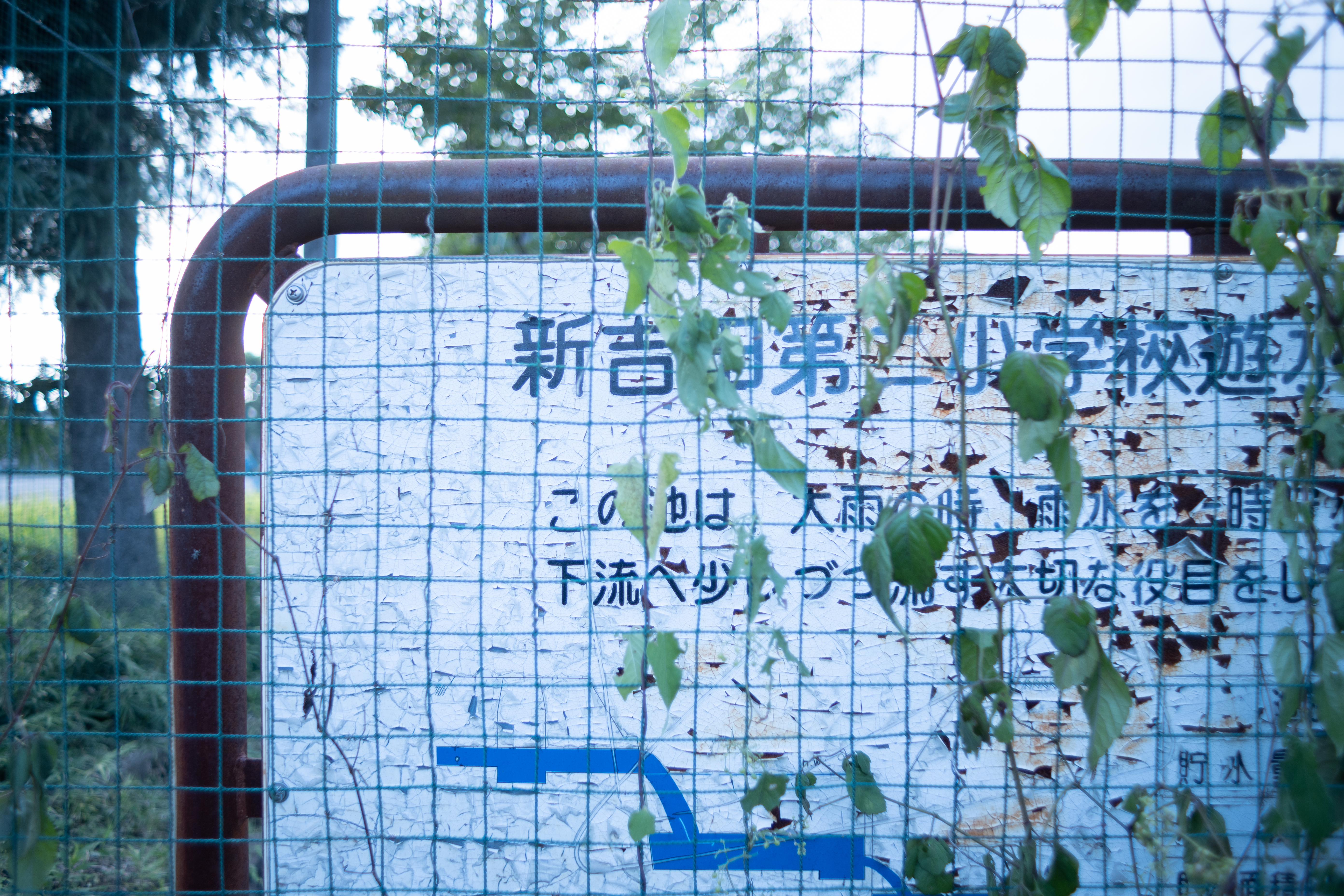 <span class="fnt-85">Z fc / 17mm f/1.4 C ASPH / 絞り優先AE（F1.4・1/500秒・+1.3EV） / ISO 100</span>