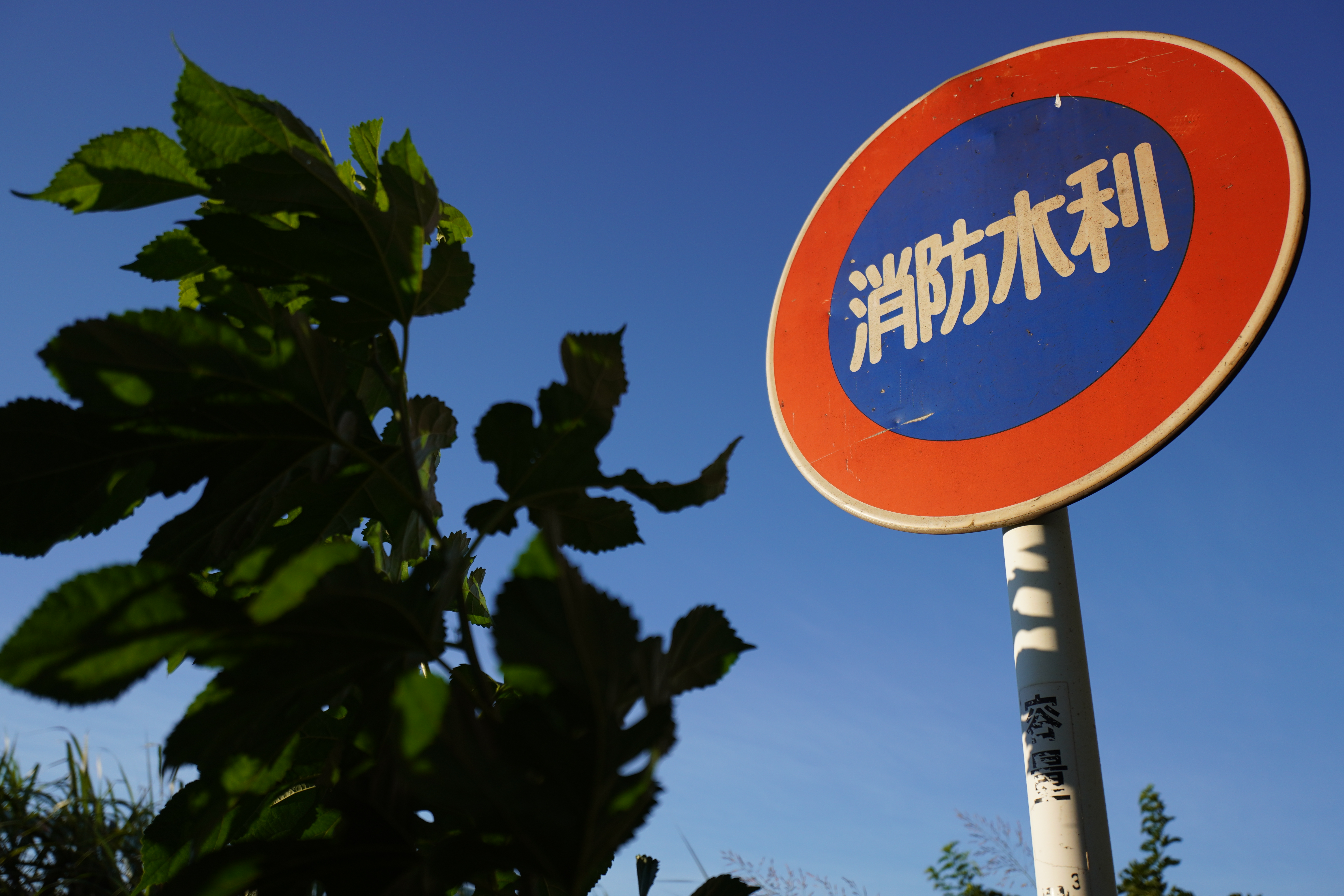 α6600 / 絞り優先AE（F2.8・1/1,600秒）/ ISO 100 / 20mm