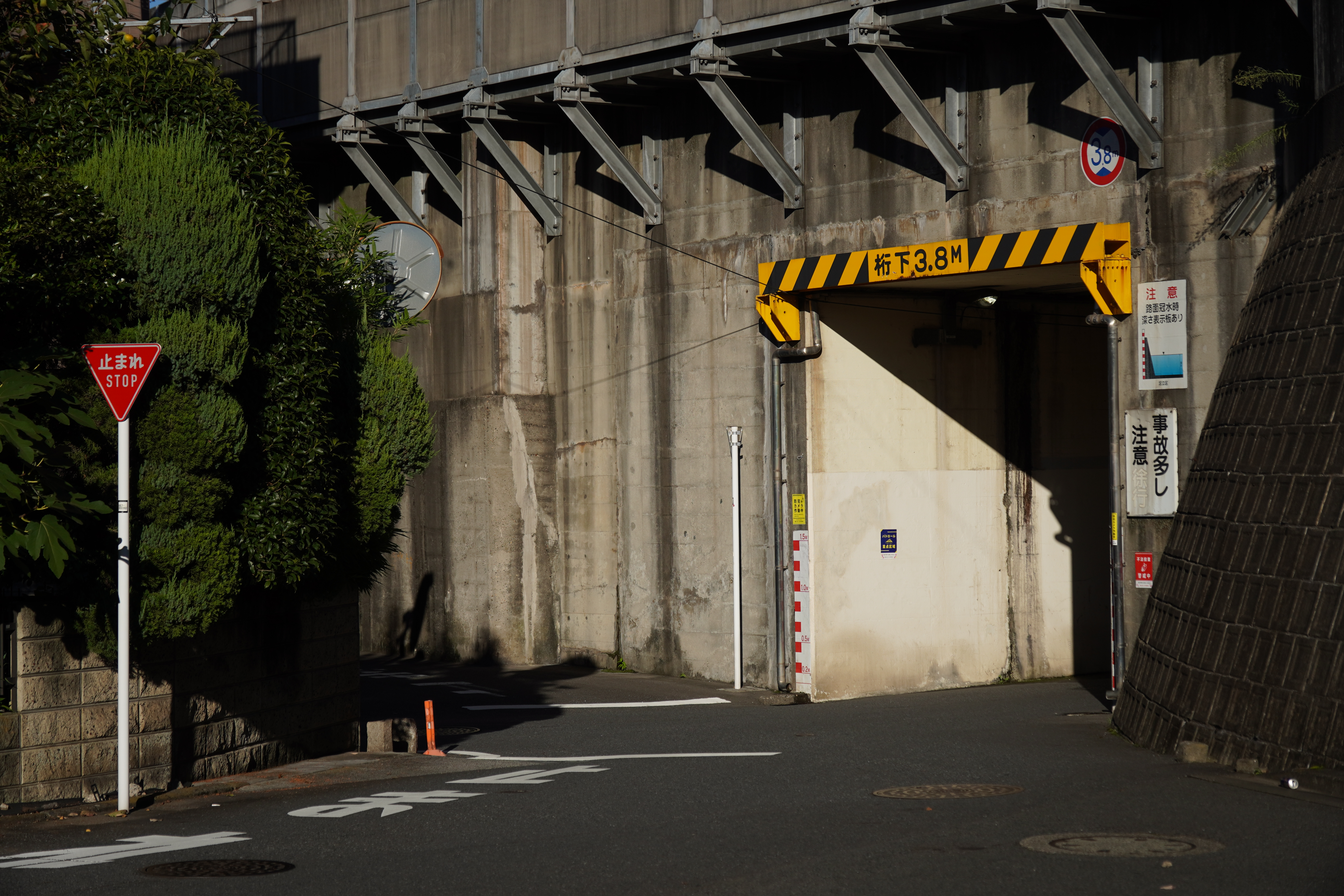 α6600 / 絞り優先AE（F4.5・1/1,600秒）/ ISO 100 / 50mm