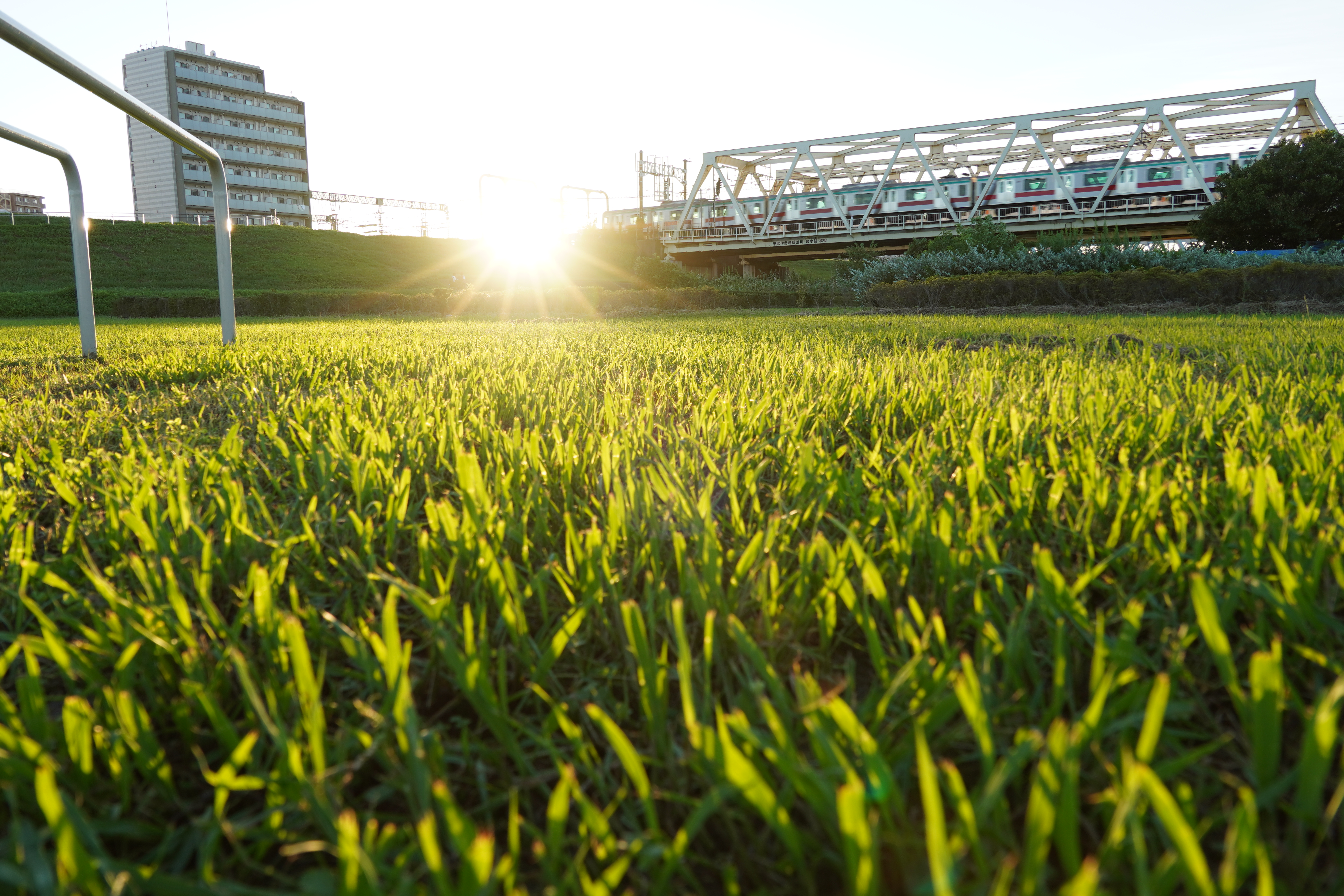 α6600 / 絞り優先AE（F6.3・1/60秒）/ ISO 100 / 18mm