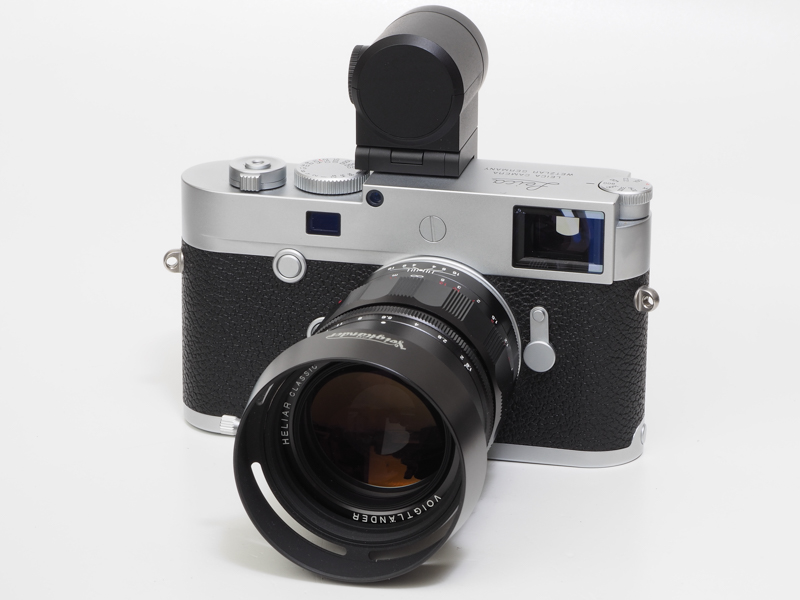 至近距離だし、開放絞りだし、どうせ像は滲むかなあと思いきや、とてもしっかりしています。合焦点も軟らかく良い感じの描写です。ポートレートを撮影すればよかったですねえ。<br>ライカM10-P　HELIAR classic 50mm F2（F1.8・1/1,500秒）ISO 100