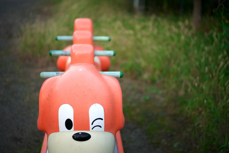 ヘリアーっぽいクセが出しづらいので、細かな雑草をバックに撮影したのですが、この撮影距離でボケがやっとザワザワしてくれました（笑）。適度な周辺光量落ちが良い感じです。あ、レンズの個性を無理やり出すのは正しい作例じゃありませんけど。<br>ライカM10-P　HELIAR classic 50mm F2（F2・1/250秒）ISO 800