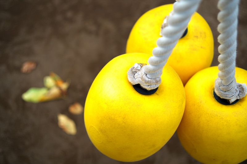 ライカのビゾフレックス（外付けEVF）を使って、距離計連動範囲を超えた位置から撮影してみましたが、わずかに絞っただけで中心の解像力はいきなり上がります。背景の落ち葉のボケにもクセがありませんが、写真的にはもう一段絞ったほうがよかったですね。<br>ライカM10-P　HELIAR classic 50mm F1.5 VM（F1.5半・1/1,000秒）ISO 100