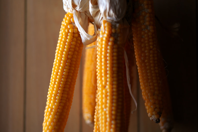 最短撮影距離0.5mで絞り開放ですが、特に問題ありません。光の方向性とシャドーがクセを消したのかもしれないですね。良い描写です。<br>ライカM10-P　HELIAR classic 50mm F1.5 VM（F1.5・1/350秒）ISO 800