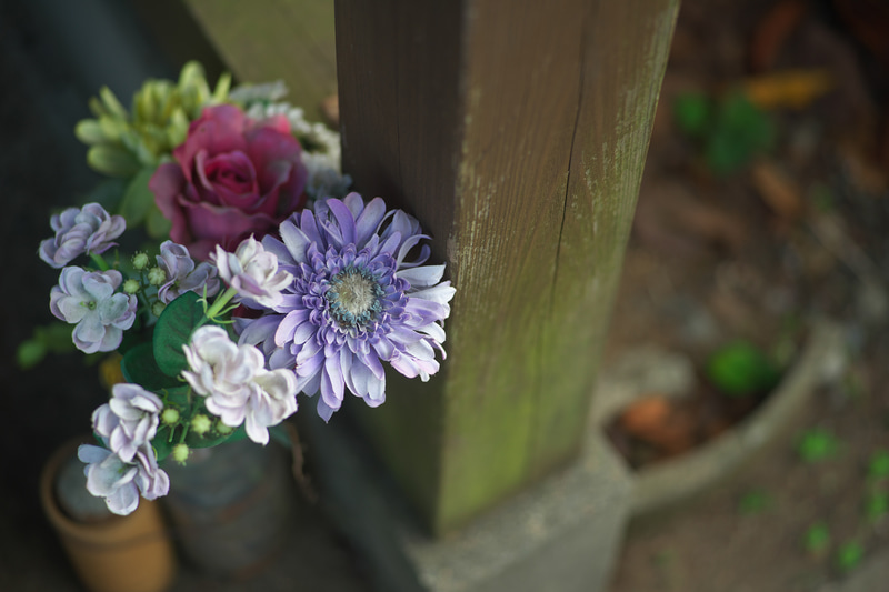 私の好きな「ヘリアー」に同じ、コシナ・フォクトレンダーの一眼レフ用交換レンズシリーズにラインアップされていたCOLOR-HELIAR 75mm F2.5 SLがあります。開放絞りから素晴らしく感動的によく写ります。HELIAR classicとは逆の方向のヘリアーですね。<br>ニコンDf　COLOR-HELIAR 75mm F2.5 SL（F2.8・1/400秒）ISO 400