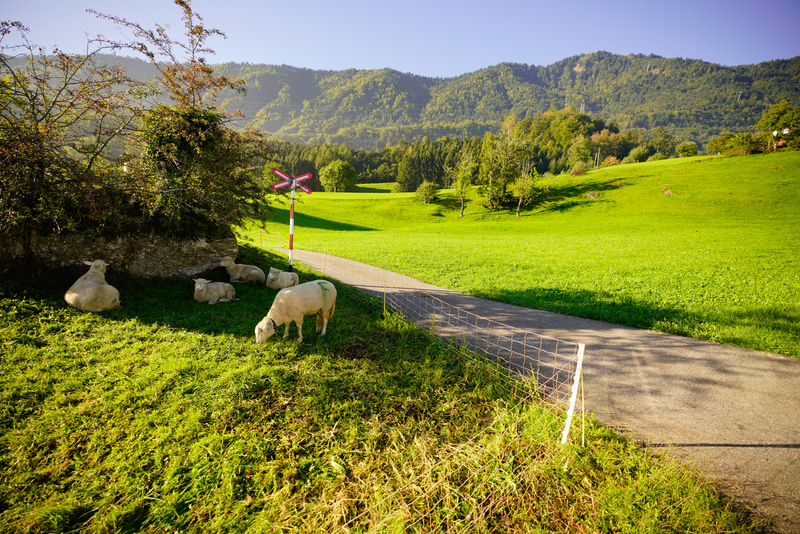 ソニーα7R III　FE 16-35mm F2.8 GM（16mm）　絞り優先オート（F2.8、1/800秒）ISO 160　WB：日陰　風景