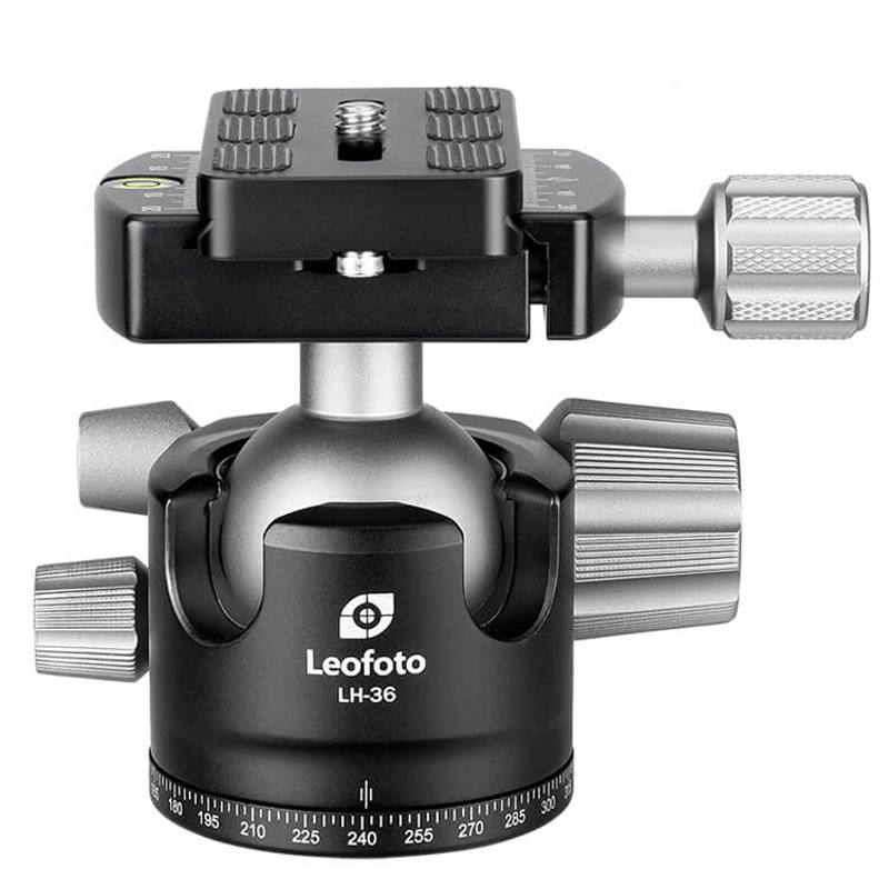 <center>LH-36</center>