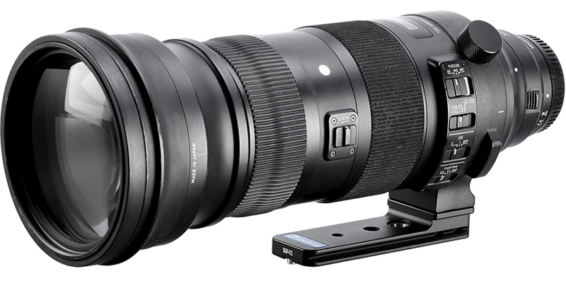 SGF-01をSIGMA 150-600mm F5-6.3 DG DN OS｜Sportsに装着した状態