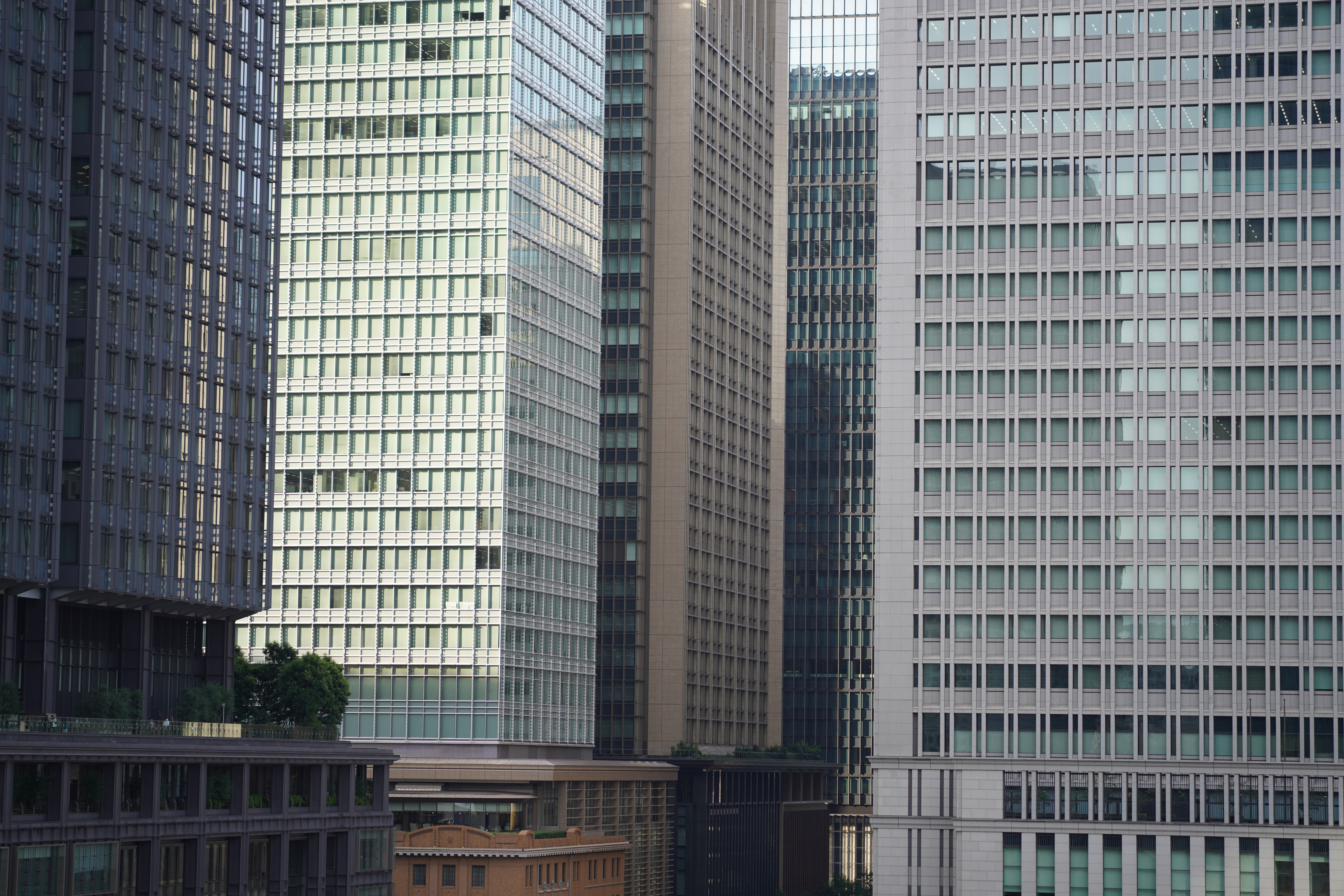 <span class="fnt-85">α7R IV / 90mm F2.8 DG DN｜Contemporary / 絞り優先AE（F2.8・1/400秒・±0EV） / ISO 100</span>