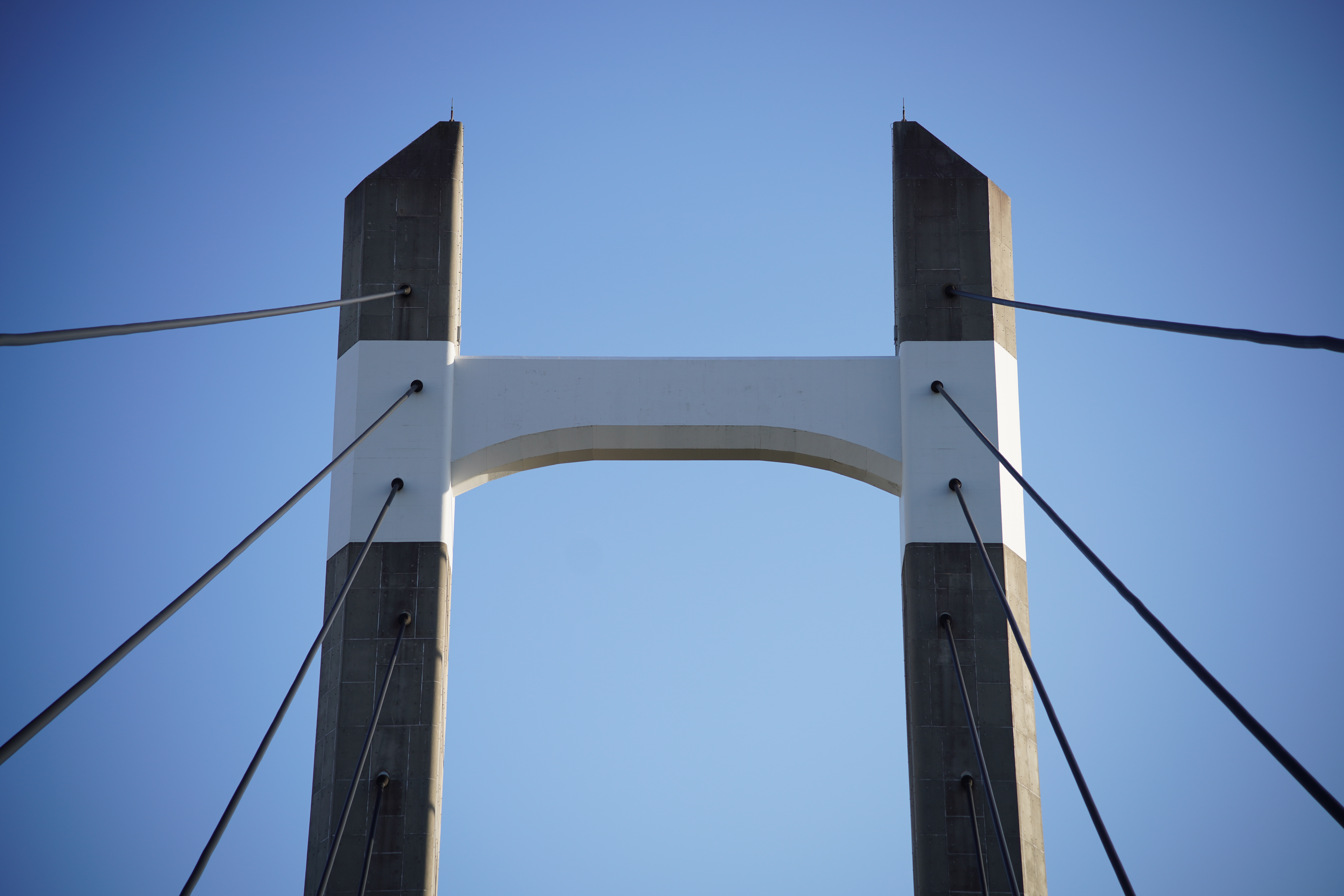 <span class="fnt-85">α7R IV / 90mm F2.8 DG DN｜Contemporary / 絞り優先AE（F3.2・1/1,000秒・+0.7EV） / ISO 100</span>