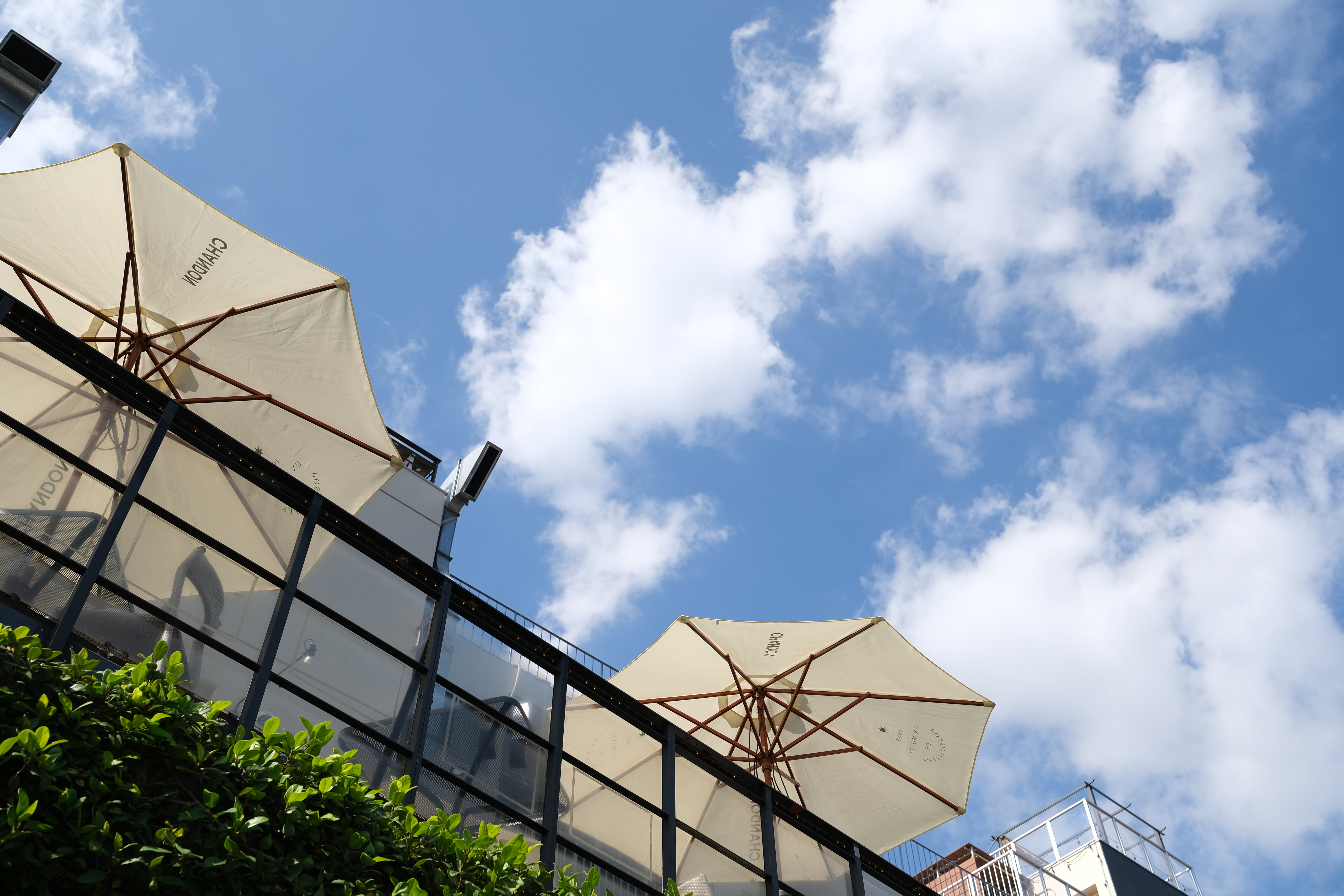 X-T4 / XF23mmF1.4 R LM WR / 絞り優先AE（F4・1/1,250秒・+0.7EV） / ISO 160 / WBオート