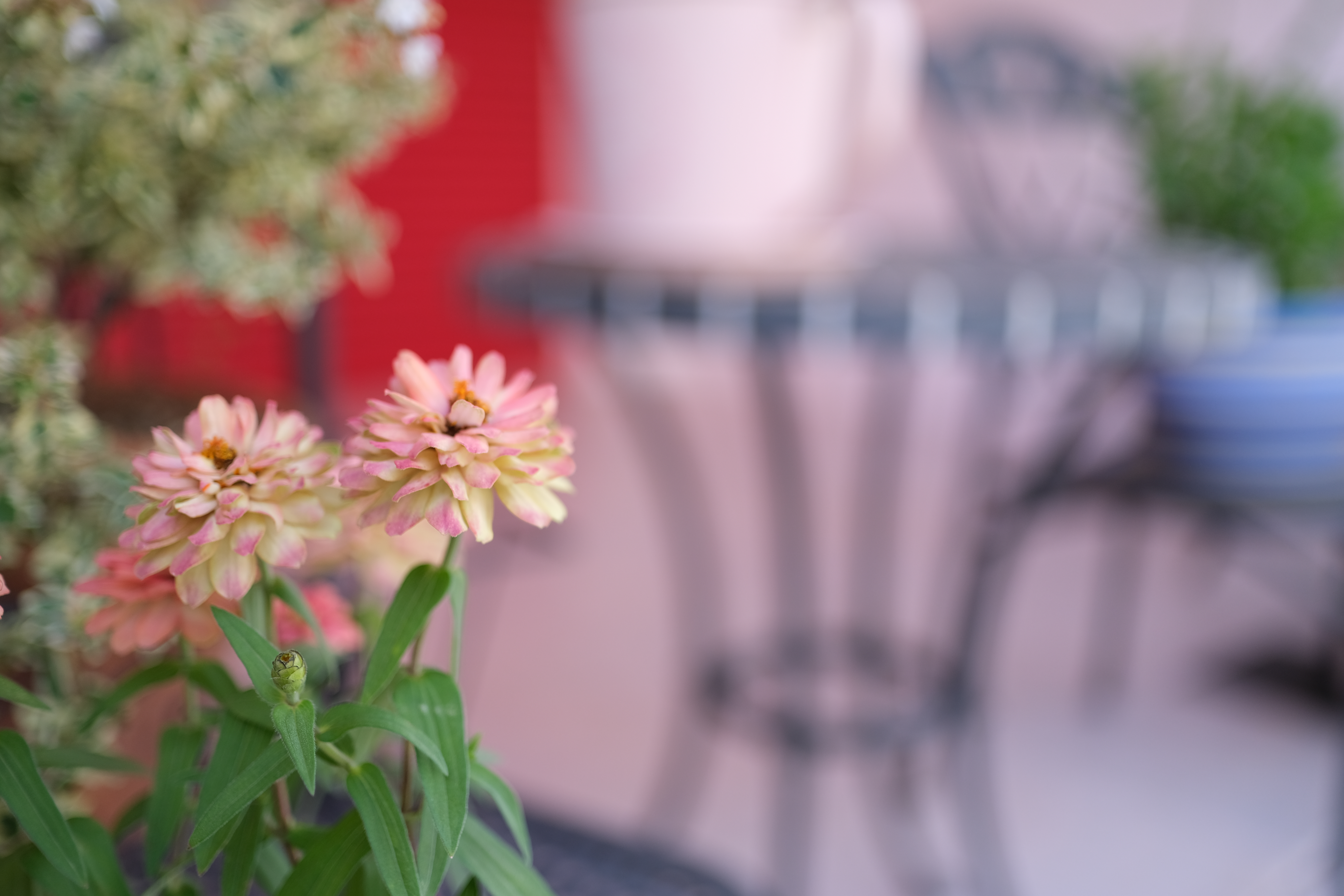 X-T4 / XF23mmF1.4 R LM WR / 絞り優先AE（F1.4・1/550秒・+0.3EV） / ISO 160 / WBオート