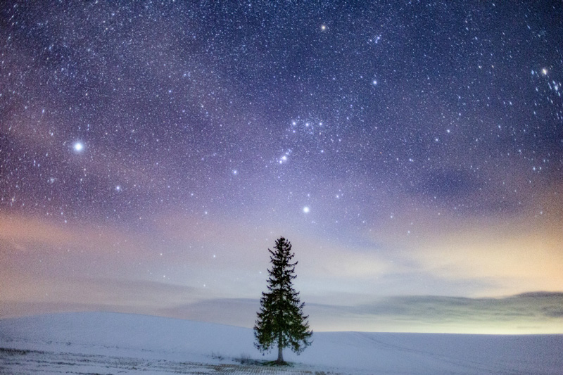 昨年度グランプリ作品「宇宙（そら）/ たか」